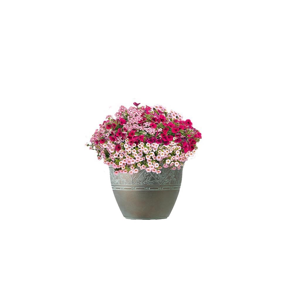  0-2001 Patina Hot Pink Jazz Antique Copper Planter Kit
