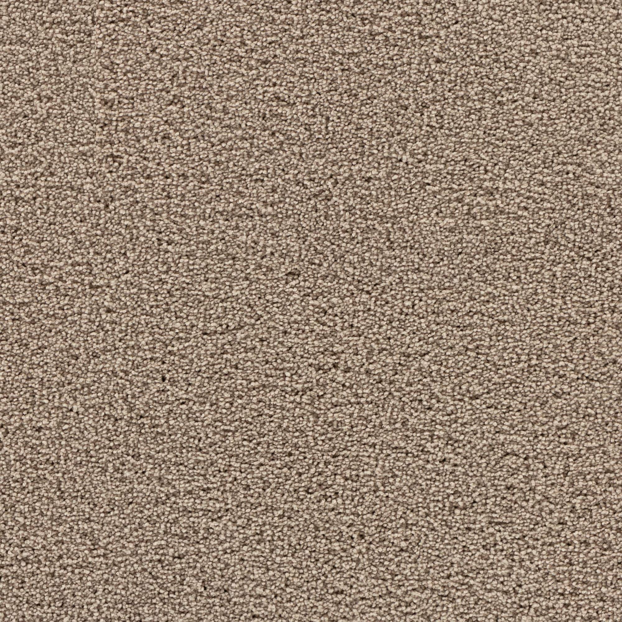 STAINMASTER STP43-12-L003 Soothing space I Opulence Brown 45-oz sq yard Polyester Textured Indoor Carpet