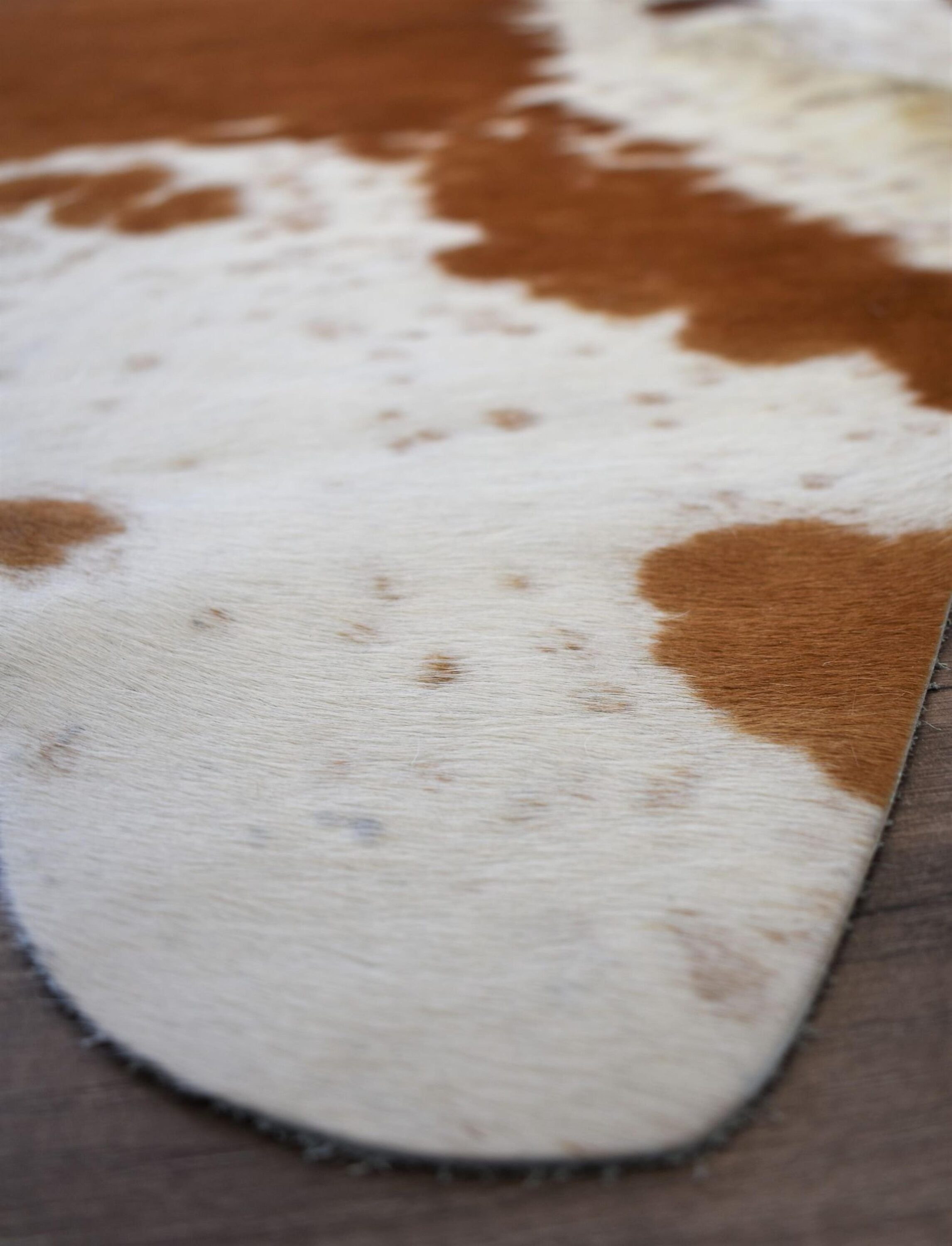 Rugs America 27893 rugs - View #7