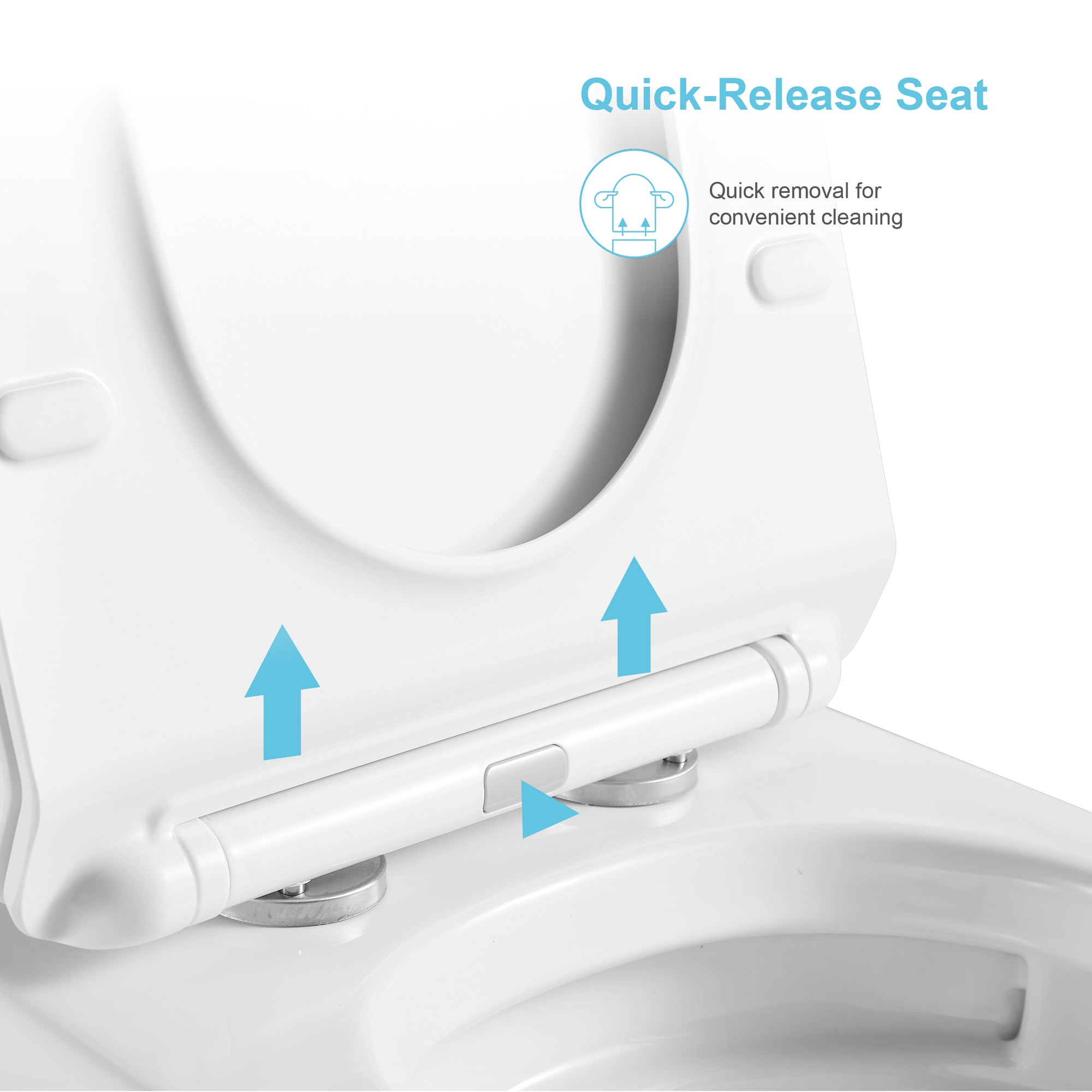 Eridanus White Dual Flush Elongated Standard Height 1-Piece WaterSense ...