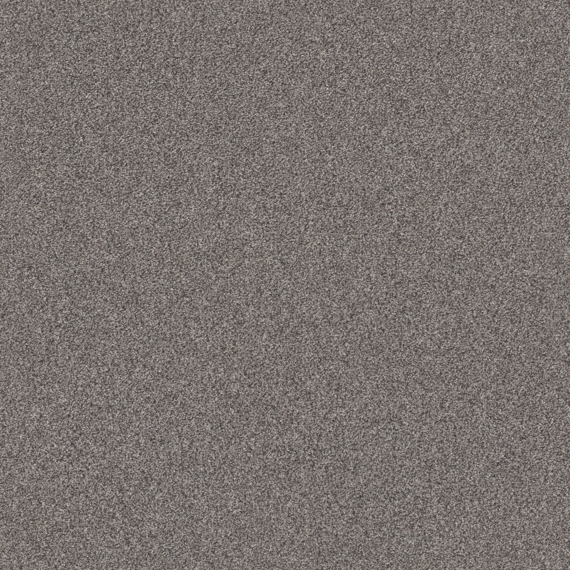 Platinum Textured Carpet