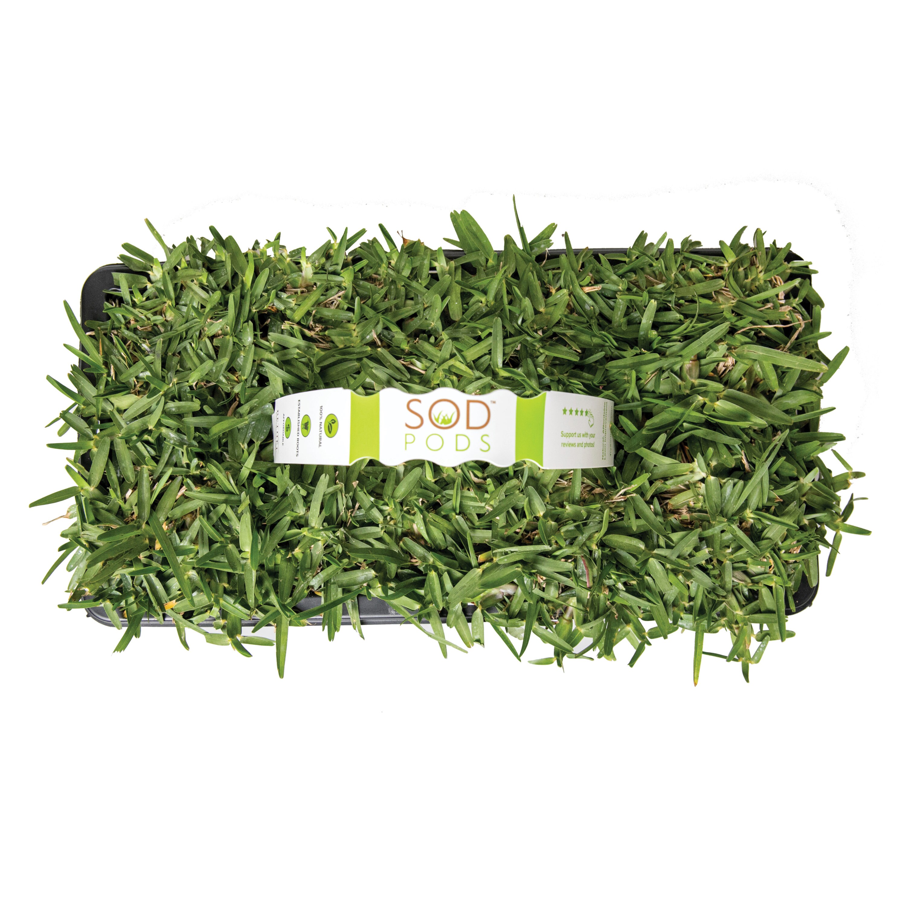 Harmony Outdoor Brands 500-sq ft Natural Bermuda Sod Pallet