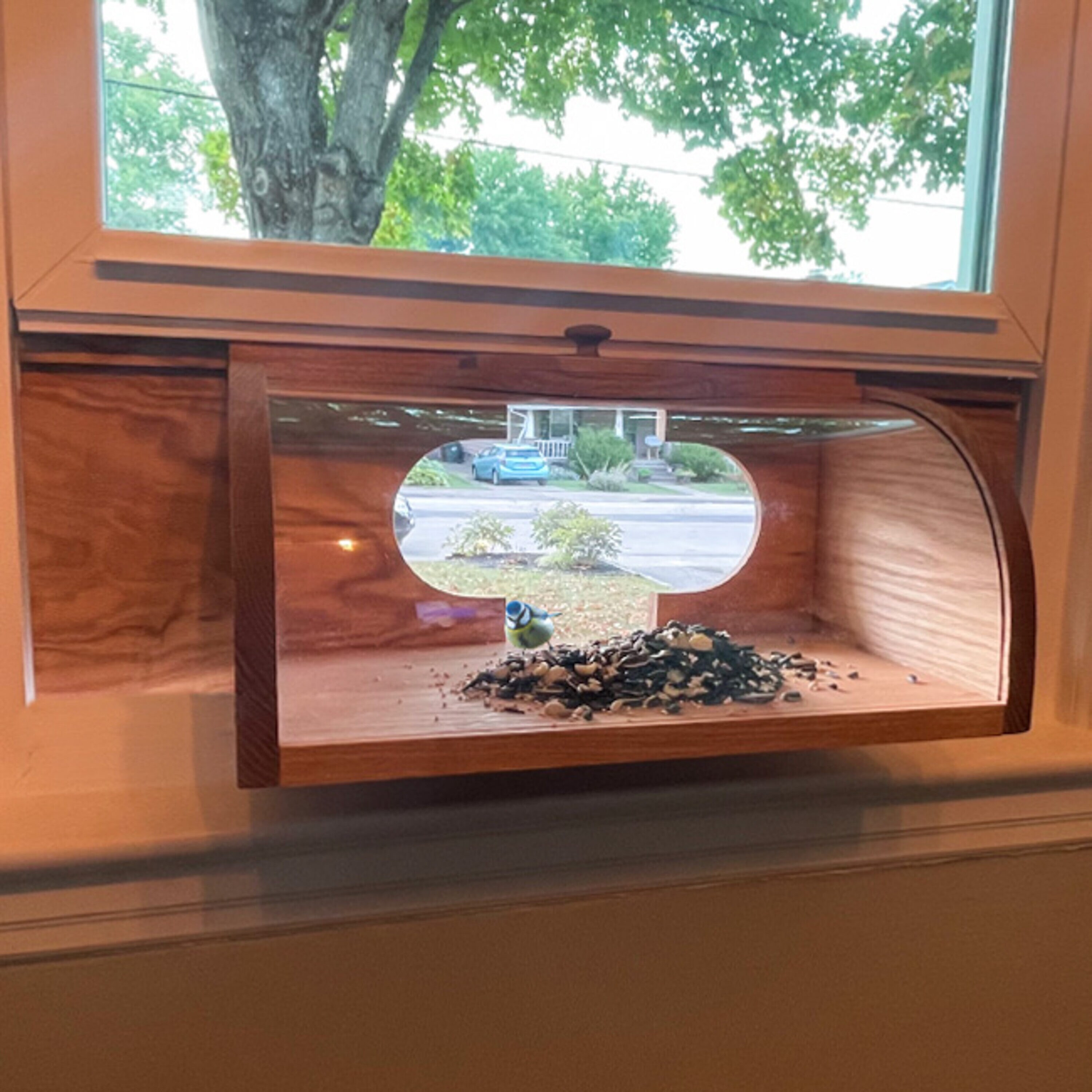 Coveside Conservation COV-27000 Bird-Houses - View #5