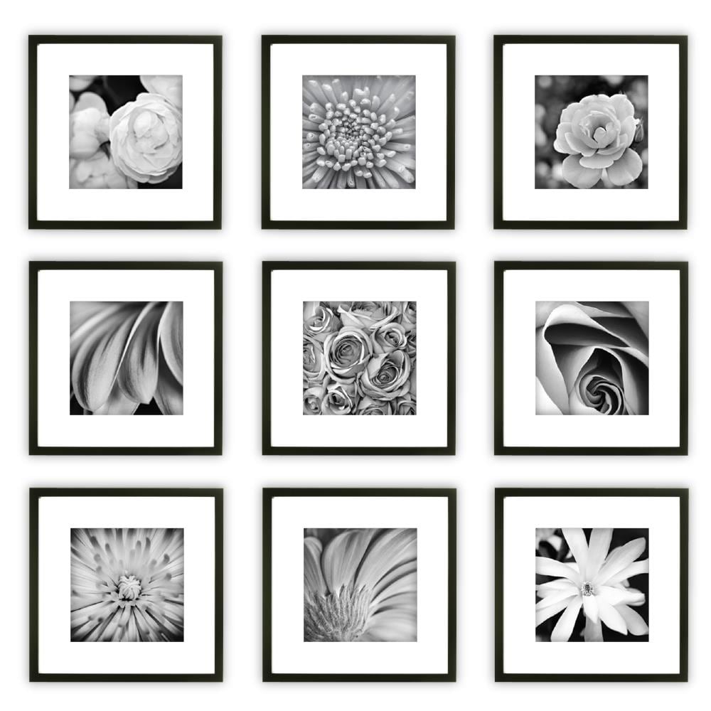 Contemporary, Gallery Black Picture Frame, 12x12 Inch, White Mat