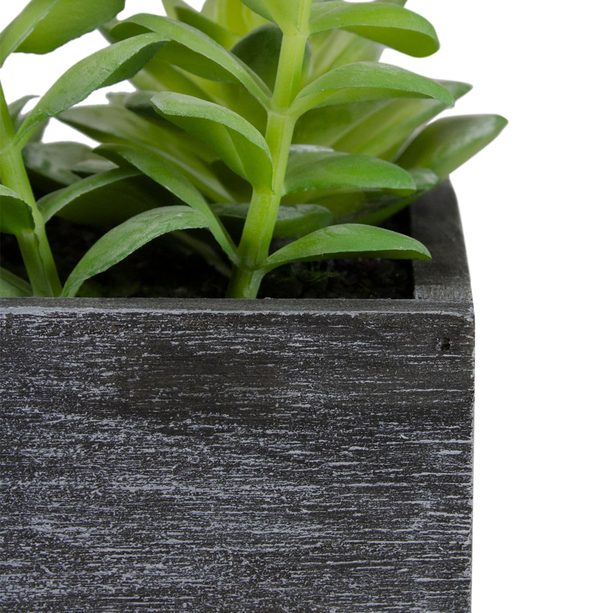 Northlight 34738374 Artificial-Plants-Trees - View #5