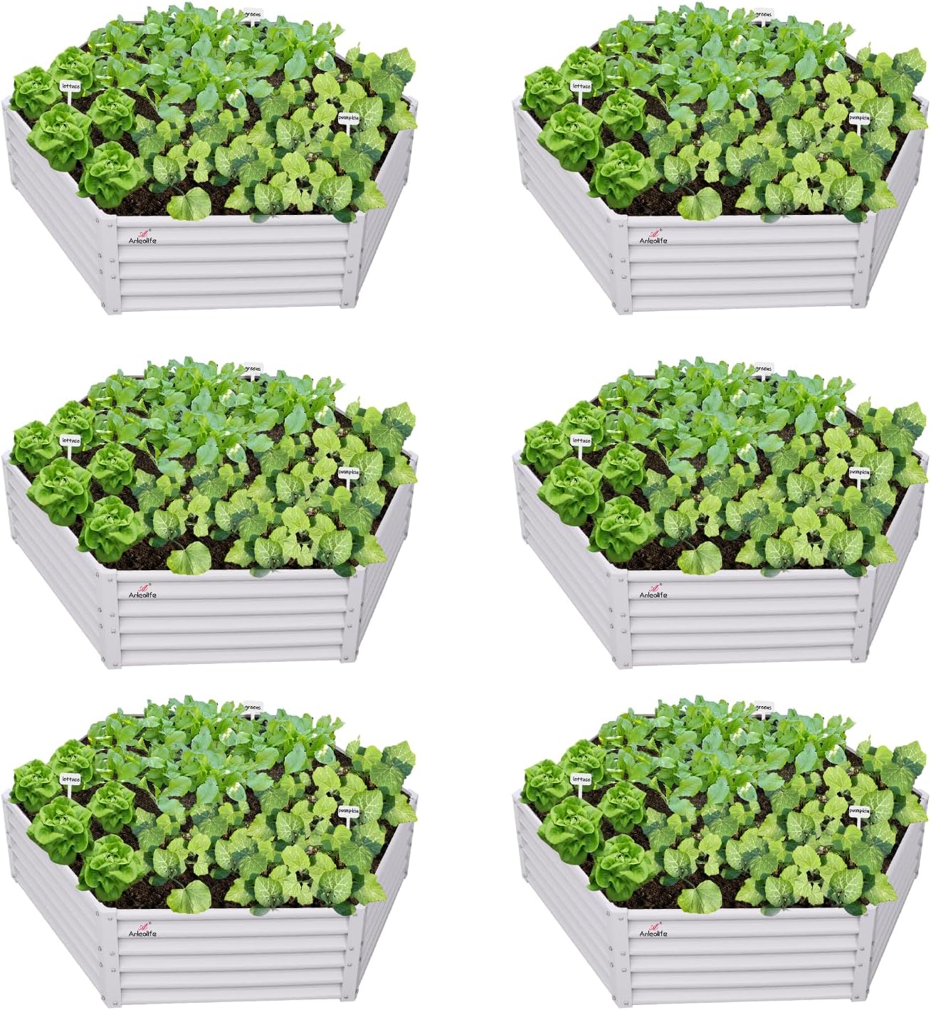 Zeus & Ruta BLGARDER-36 214-cu ft 60-in W x 70-in L x 18-in H Antique White Galvanized Metal Raised Garden Bed