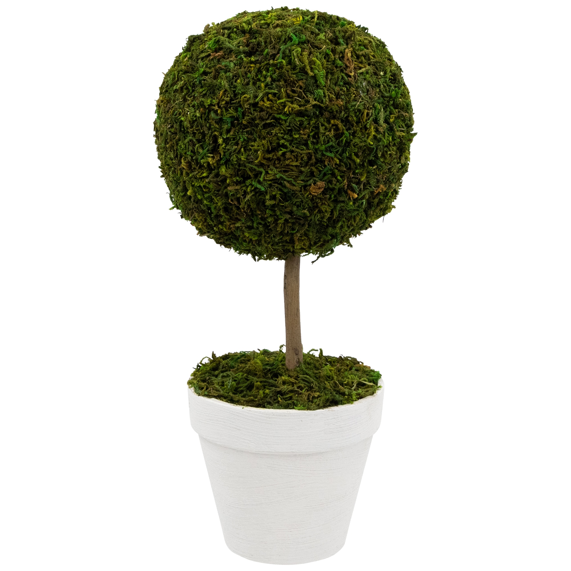 Northlight 31516466 16-in H Any occasion Tabletop decoration