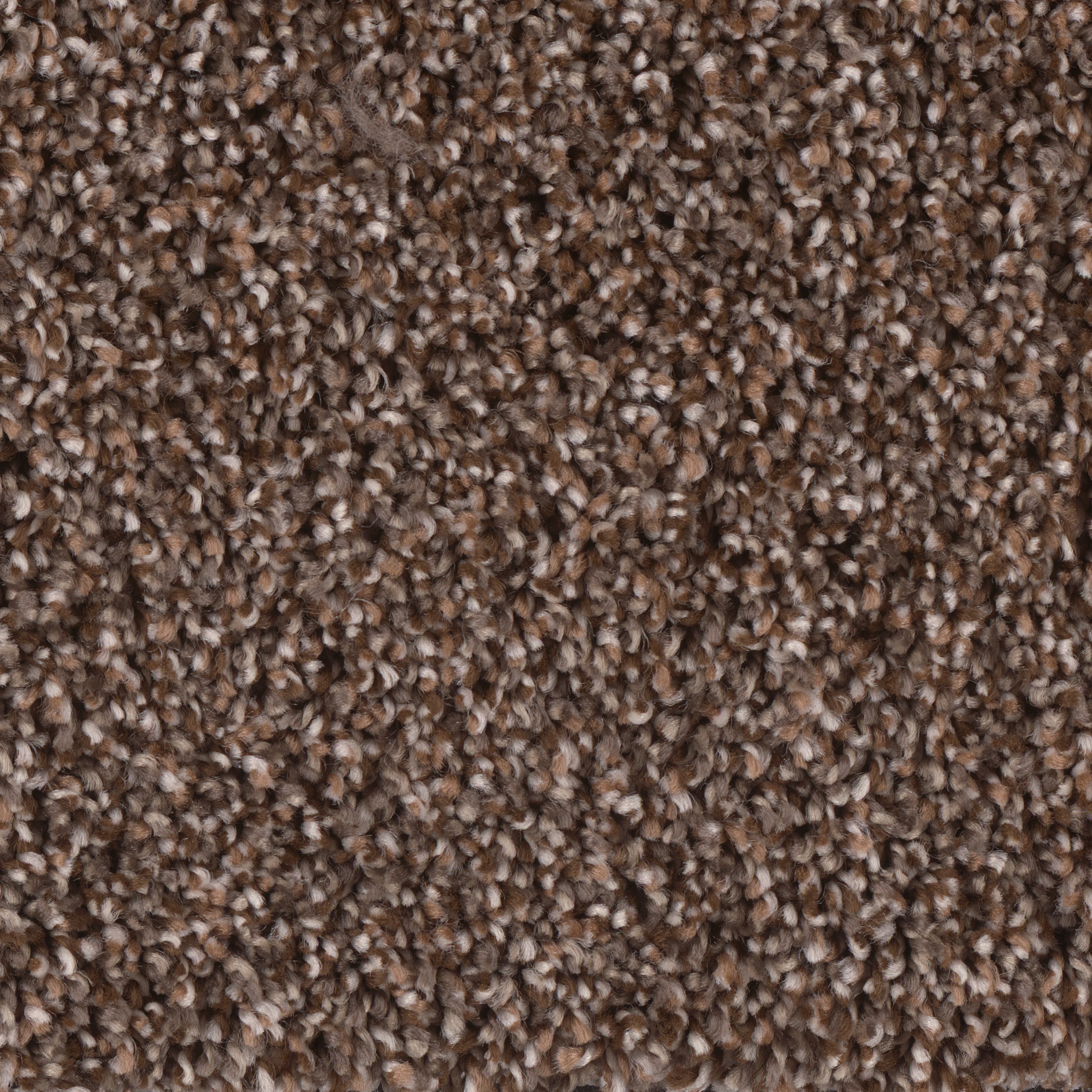 STAINMASTER S8754-878-S (Sample) Thesis Manuscript Brown 54-oz sq yard Polyester Textured Indoor Carpet