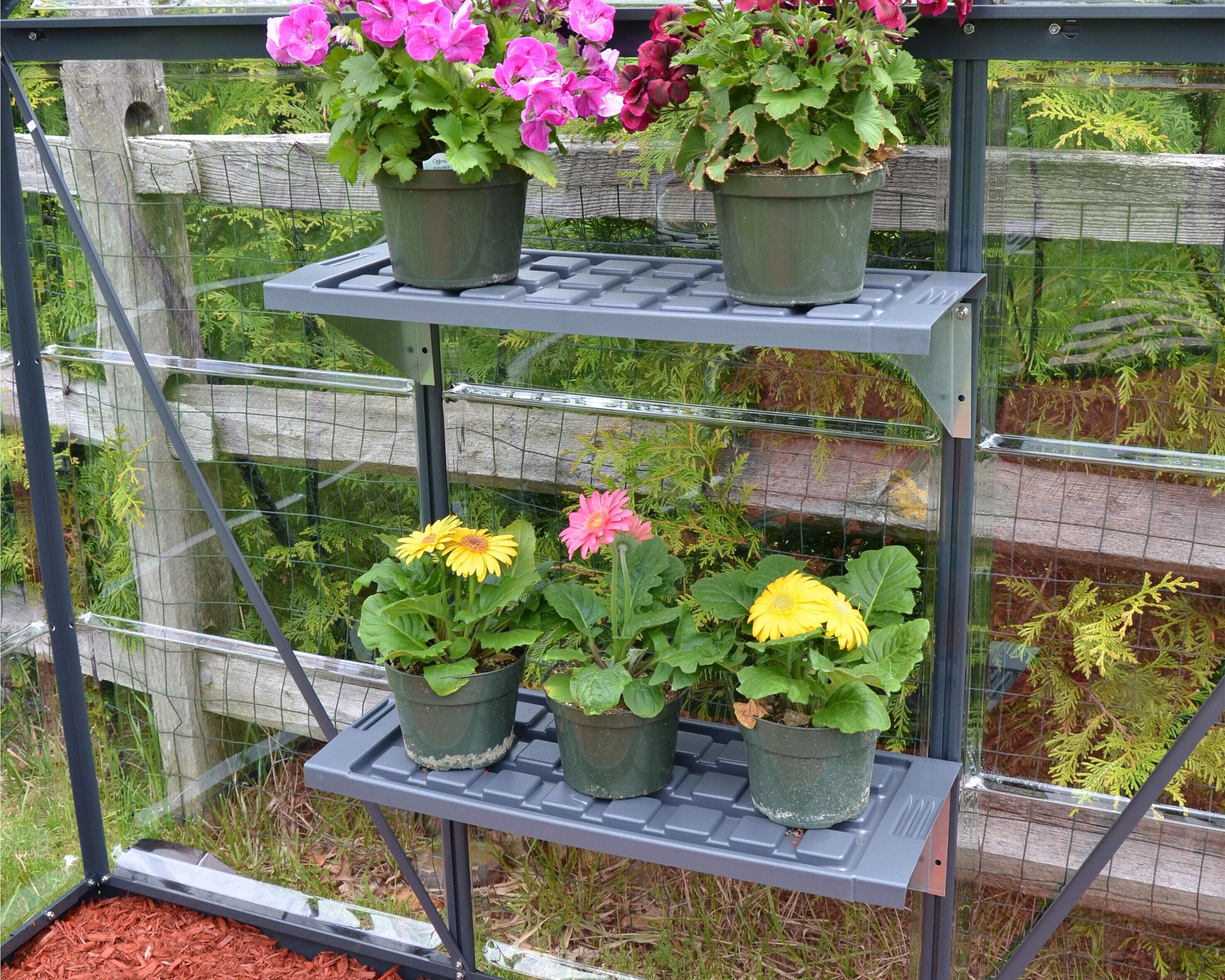 Canopia by Palram 700550 Greenhouse-Vent-Openers - View #8