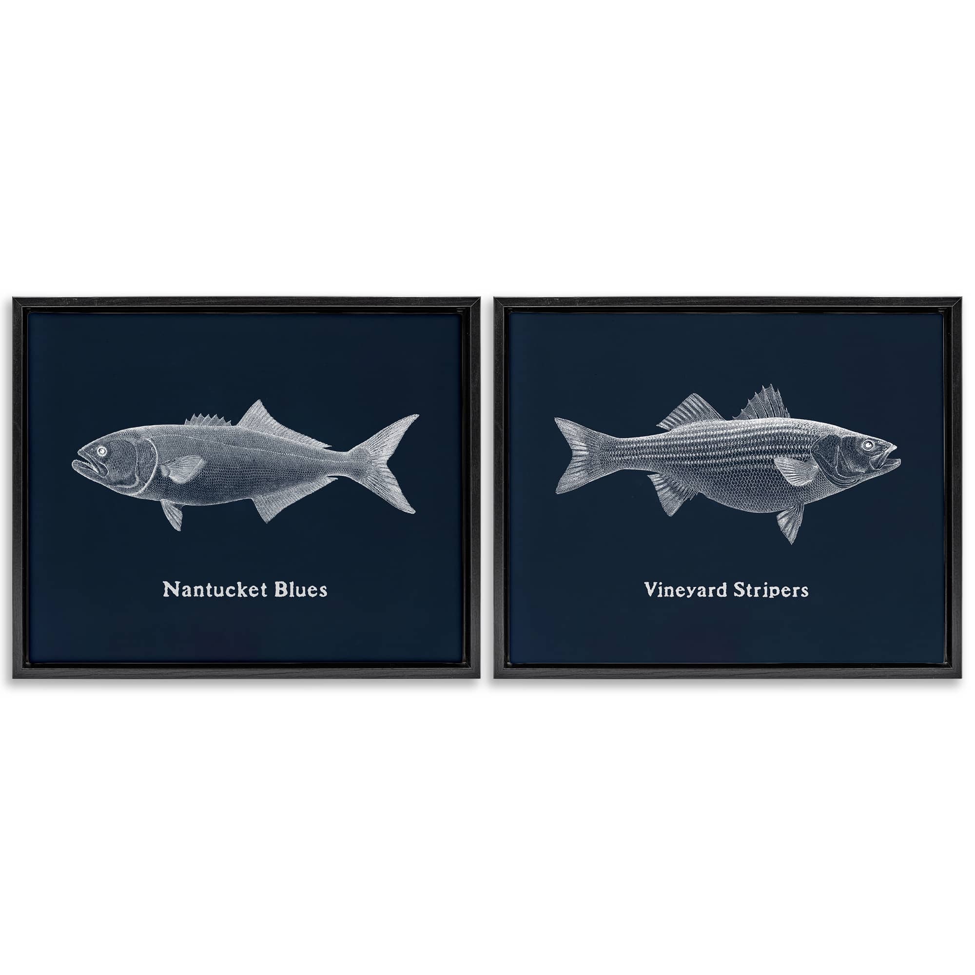 Stupell Industries B2-818-FFB-2PC-16X20 Harbor Fish Phrases 2 Piece Black Framed Floater Canvas Set By Phillipa Katz 21 x 17