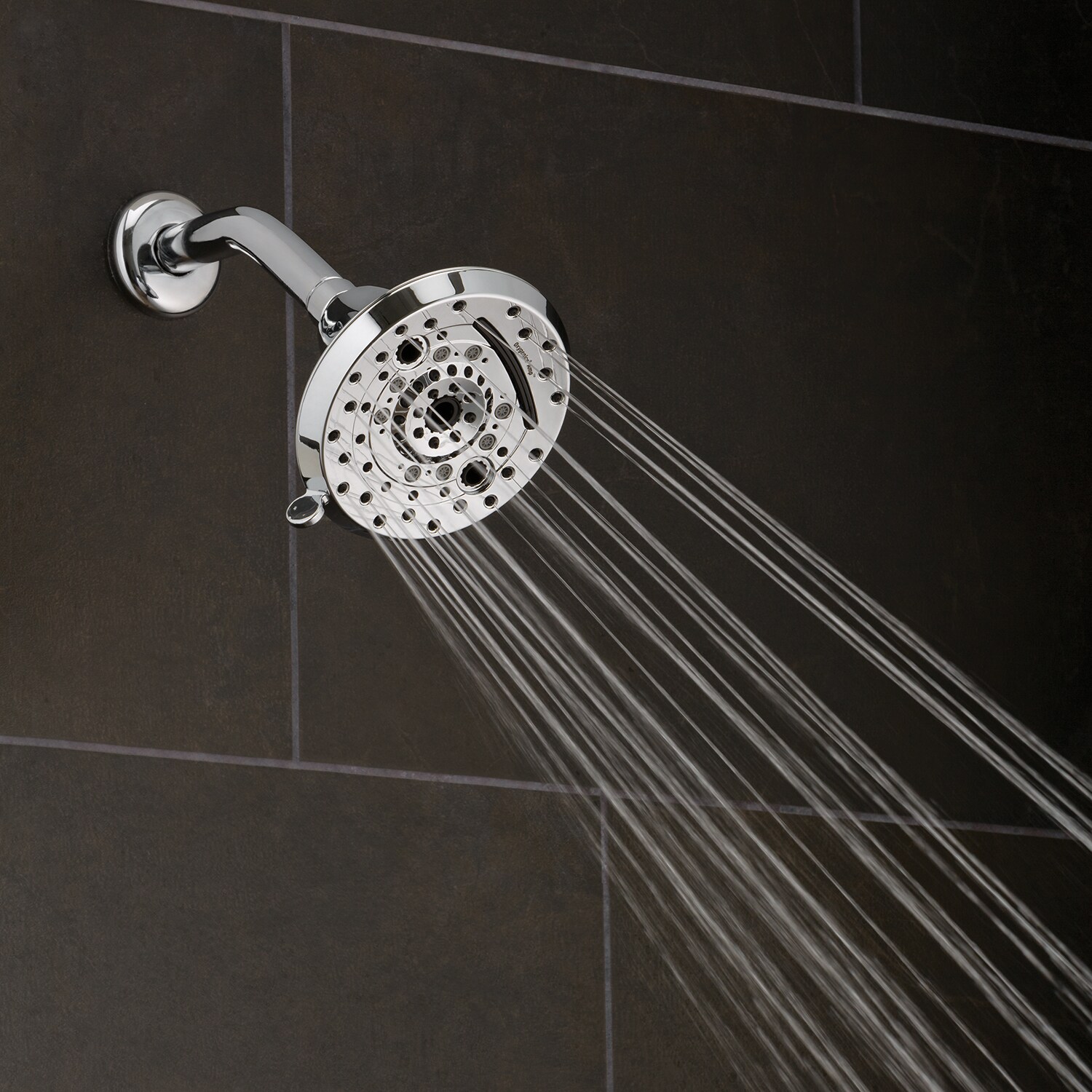 Amp Polished Chrome 5-Inch Wall Mounted Shower Head