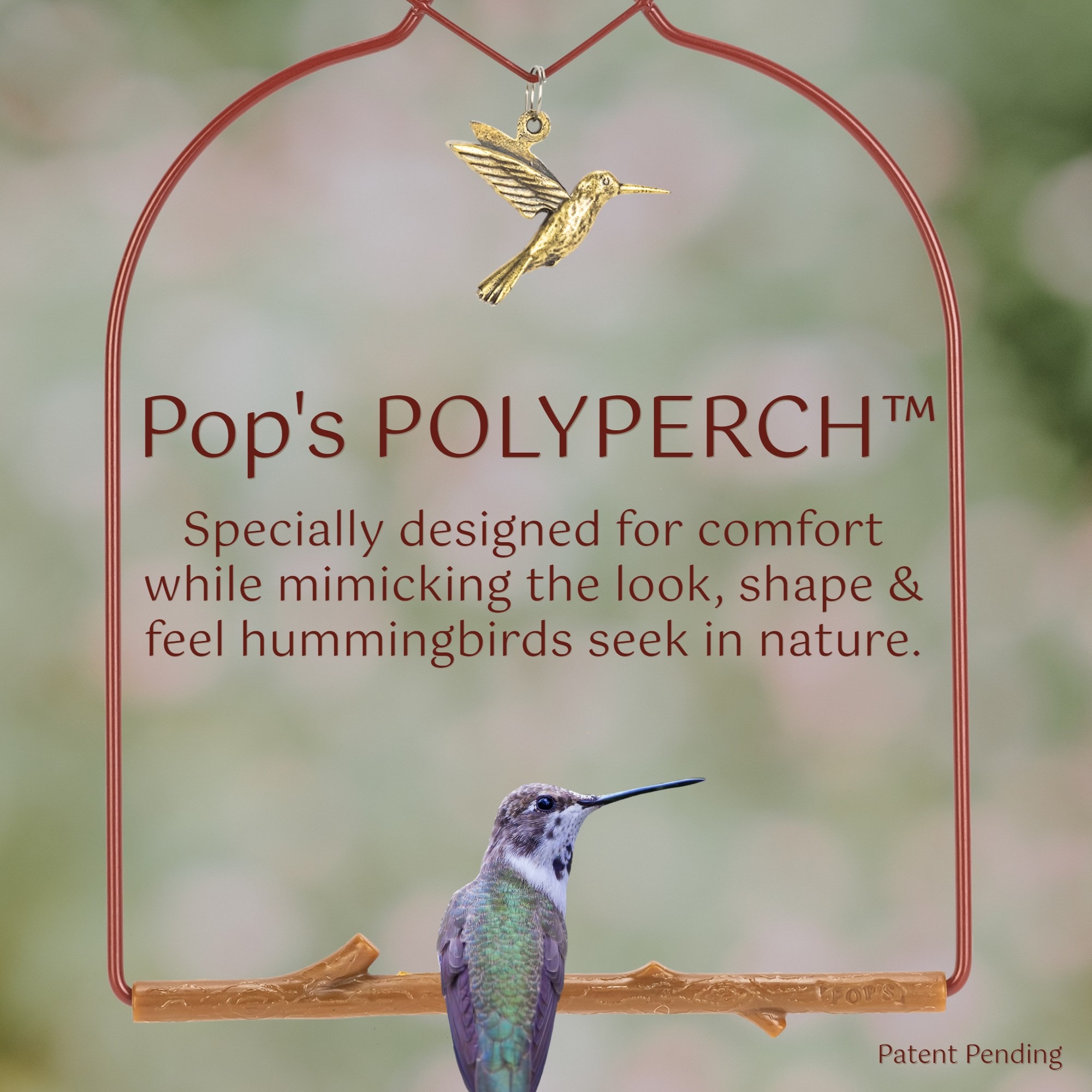 Pop's Birding CHRD-BBBR Bird-Feeder-Accessories - View #5