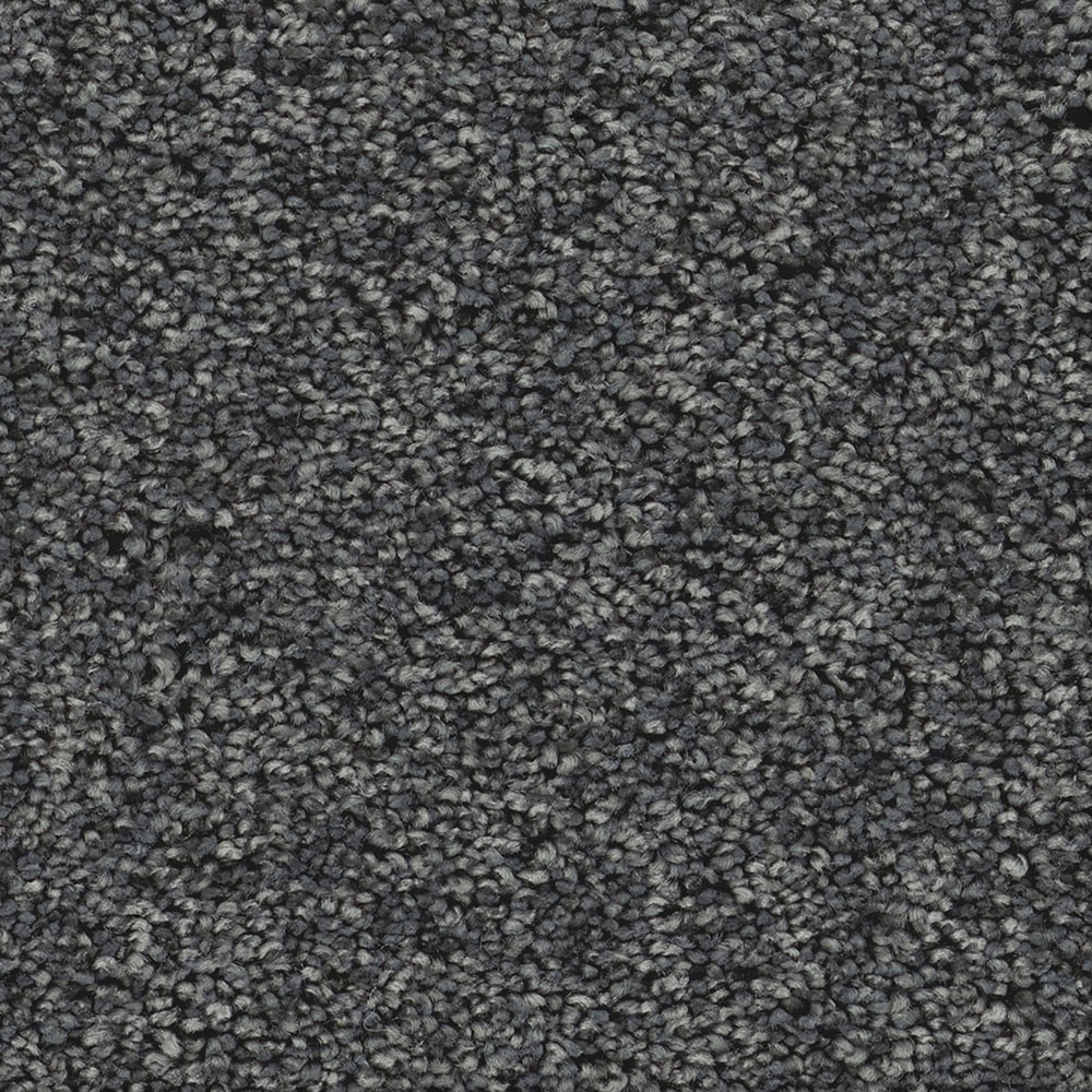 STAINMASTER PetProtect 7L974-502-SAMP (Sample) 8-in x 8-in with LeakDefense Forever Loyal I Midnight Gray 59-oz sq yard High-performance polyester Textured Indoor Carpet