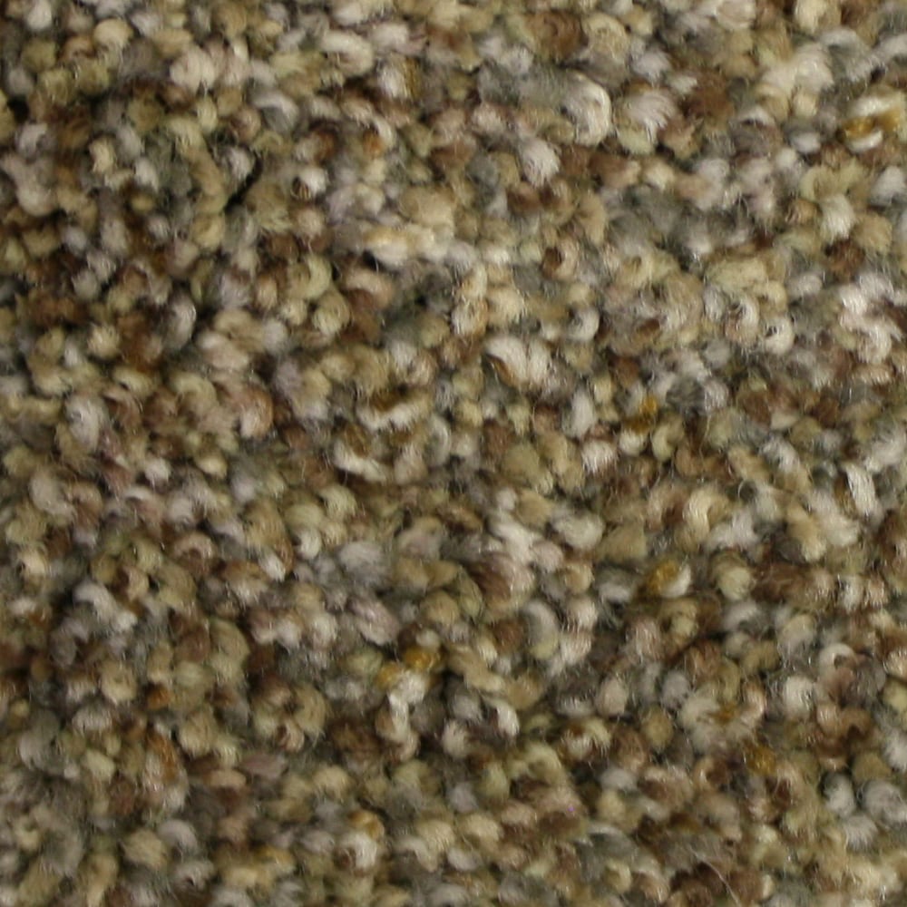 STAINMASTER S9068-15-1200-AB (Sample) PetProtect Soul Mate Rare Find Textured Carpet