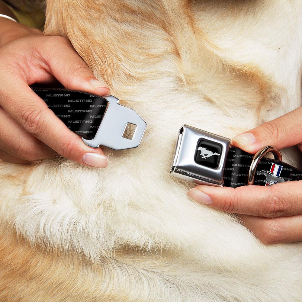 Buckle-Down DC-WFM007-M Dog-Collars-Harnesses - View #2