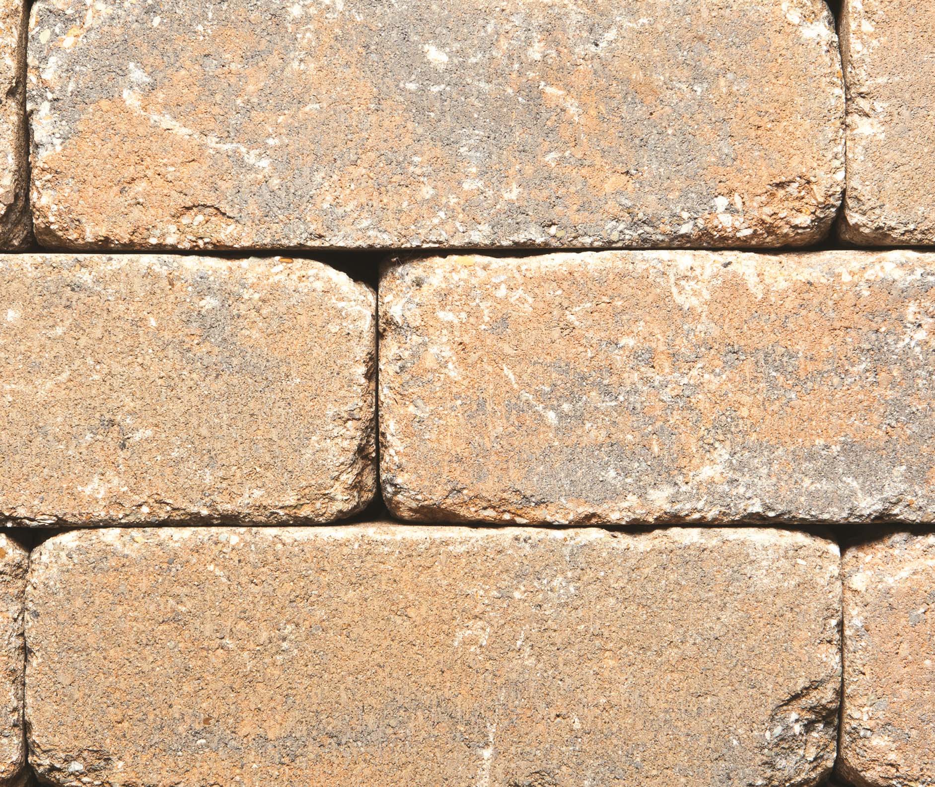 Belgard 4-in H x 1.6-in L x 8-in D Fossil Beige Concrete