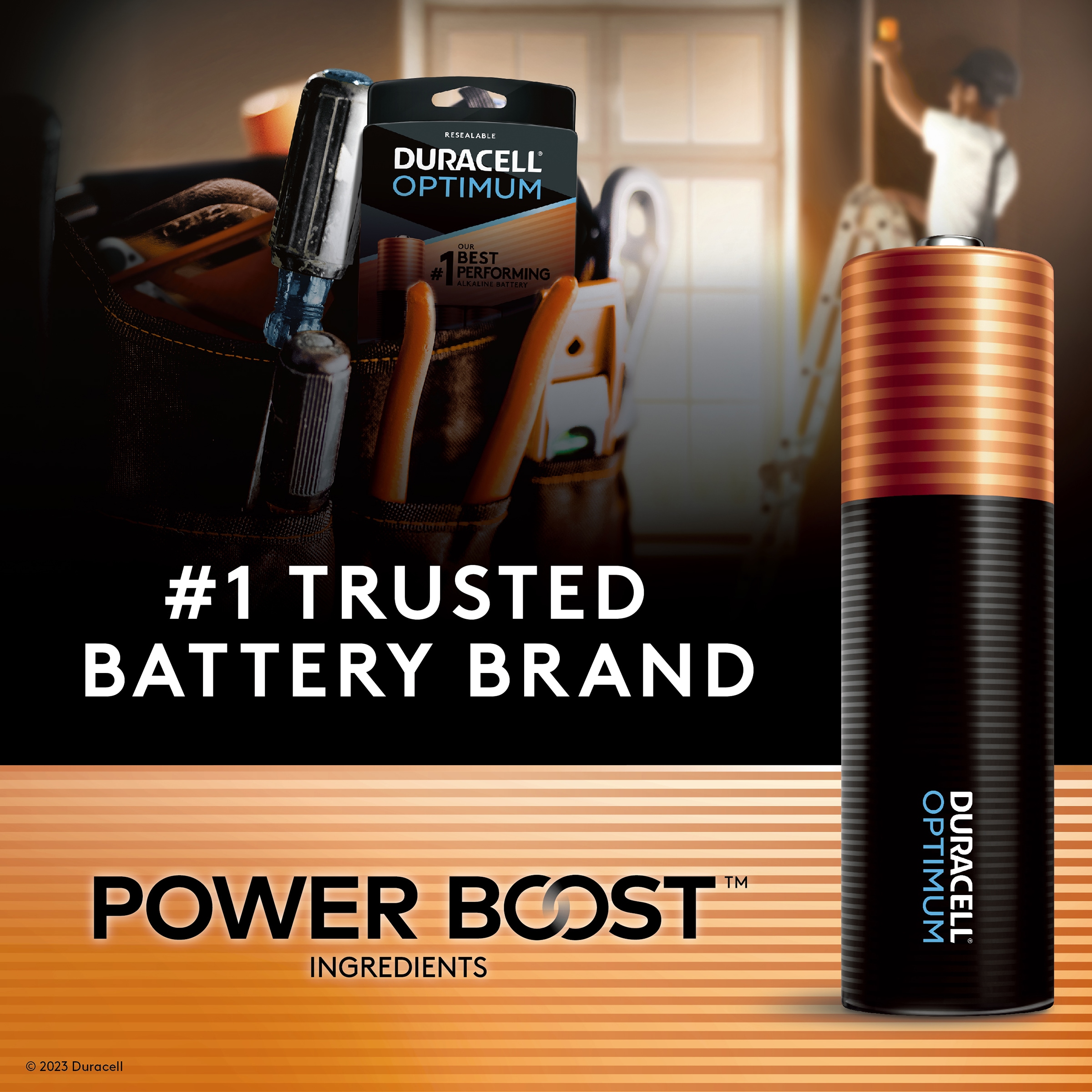 Duracell Optimum Alkaline AAA Batteries (8-Pack) in the AAA Batteries  department at