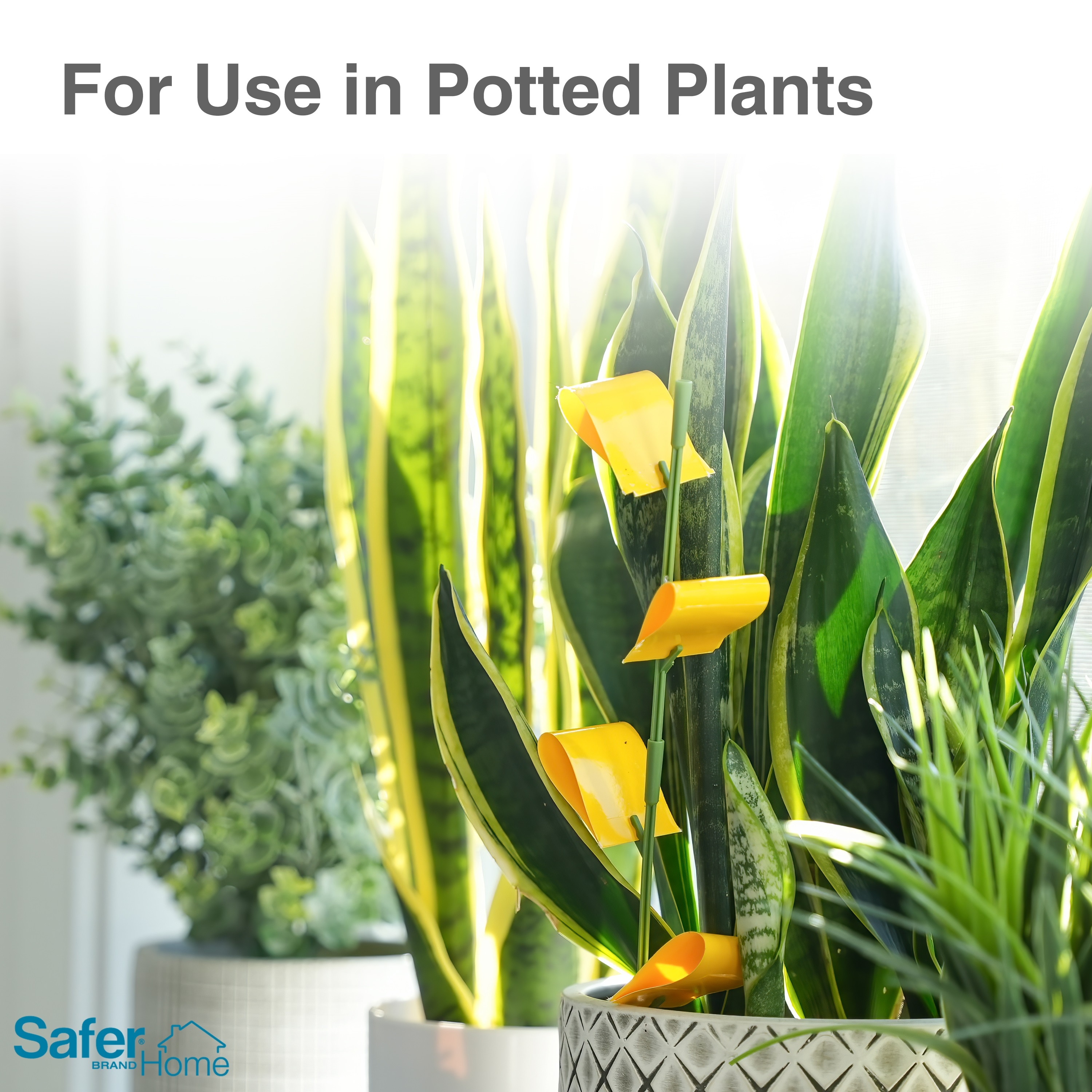 Safer Brand SH5026 repellents - View #5