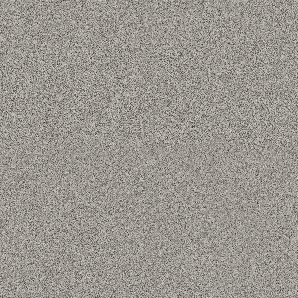 STAINMASTER PetProtect 7L966-518-SAMP (Sample) 8-in x 8-in with LeakDefense Pet Parade II Thin Ice Gray 58.5-oz sq yard High-performance polyester Textured Indoor Carpet