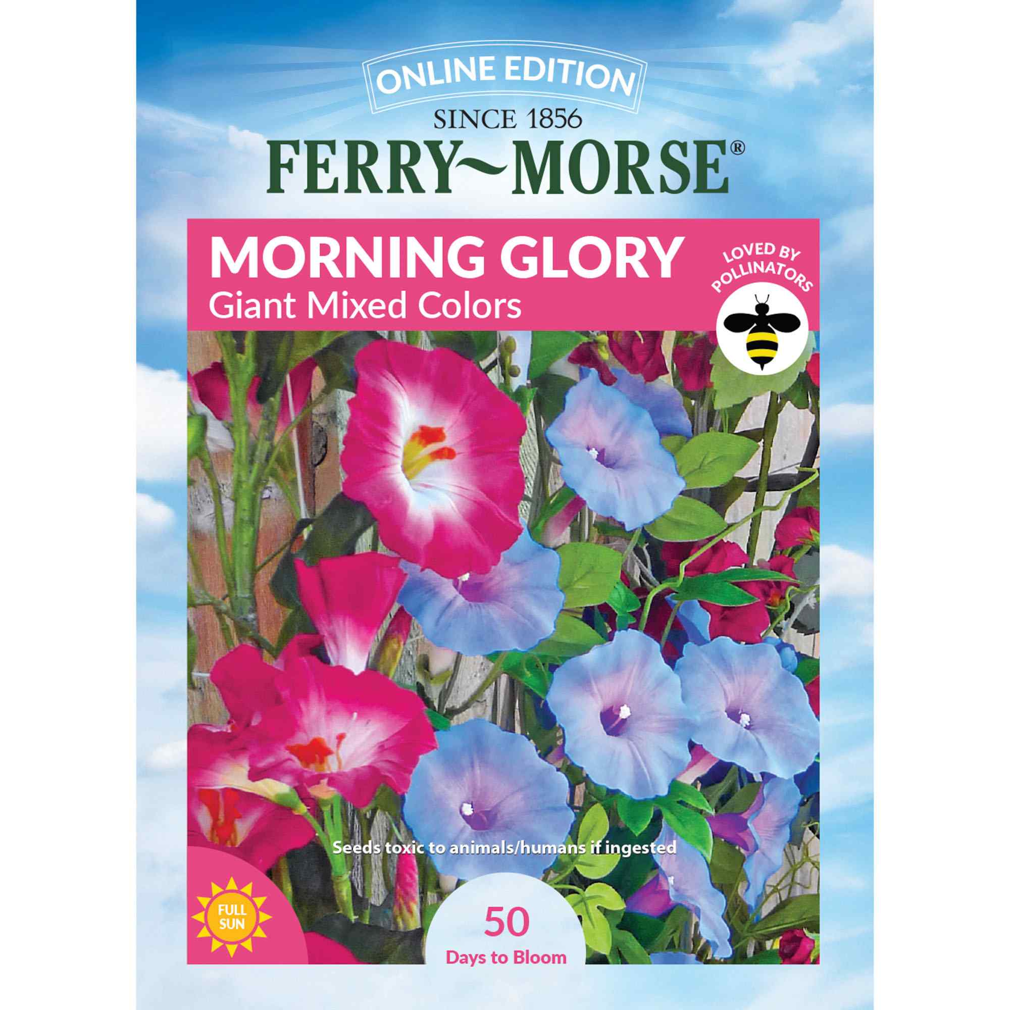 Ferry-Morse LC25.4067 Morning Glory Seeds 2.2 Gram(s)