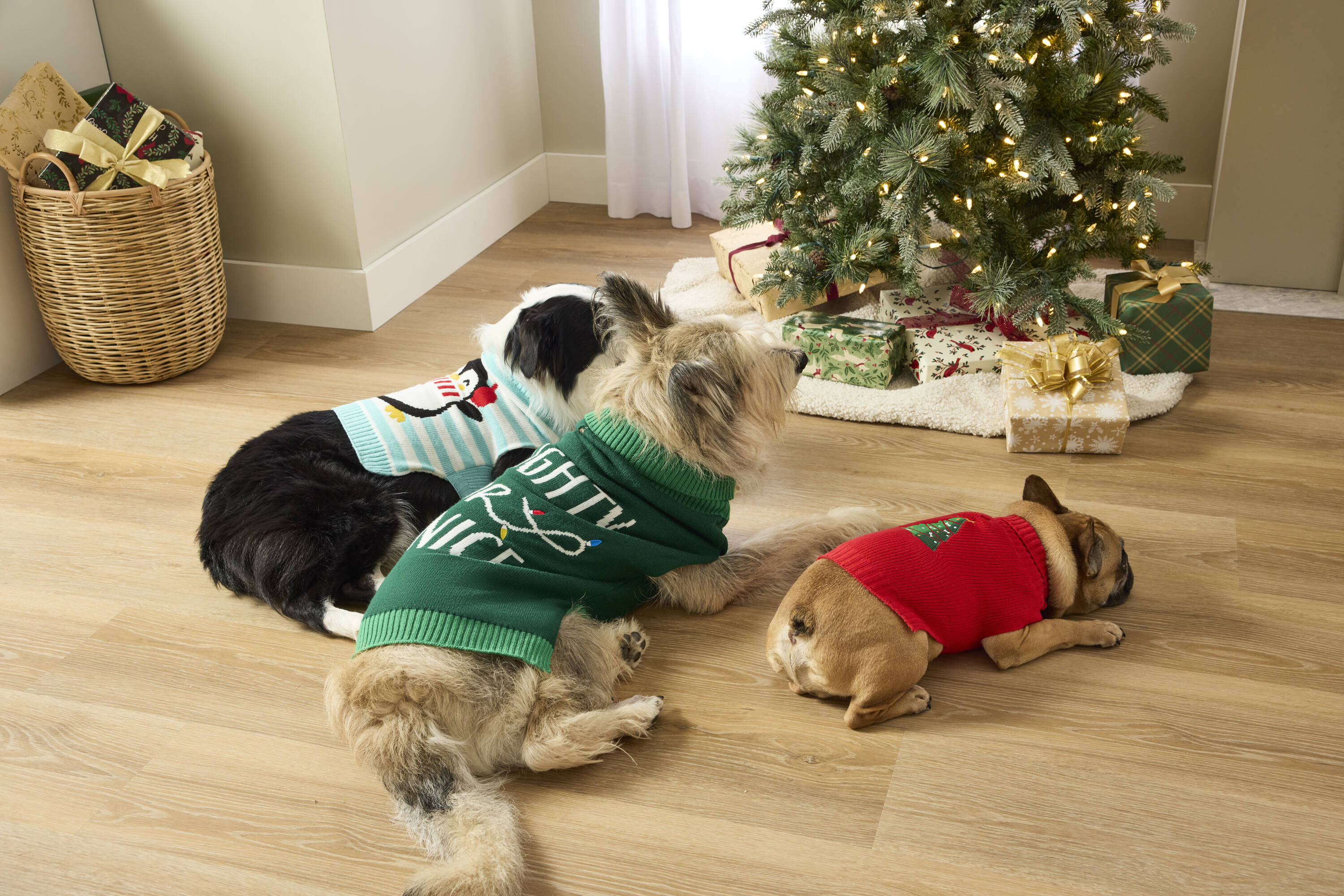 Heart & Herd YS0418-M Dog-Apparel - View #6
