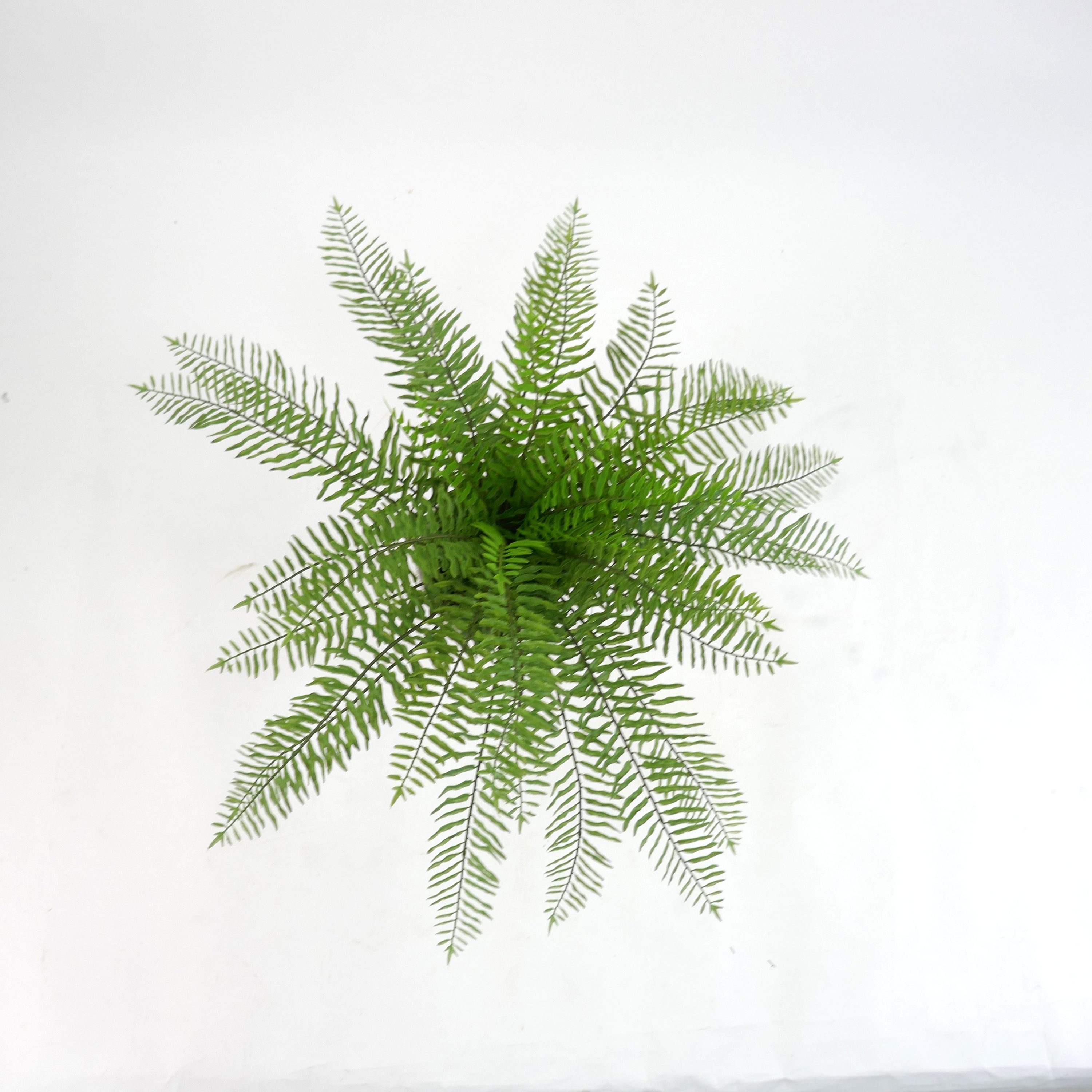 allen + roth 21LOW235 Artificial-Plants-Trees - View #6