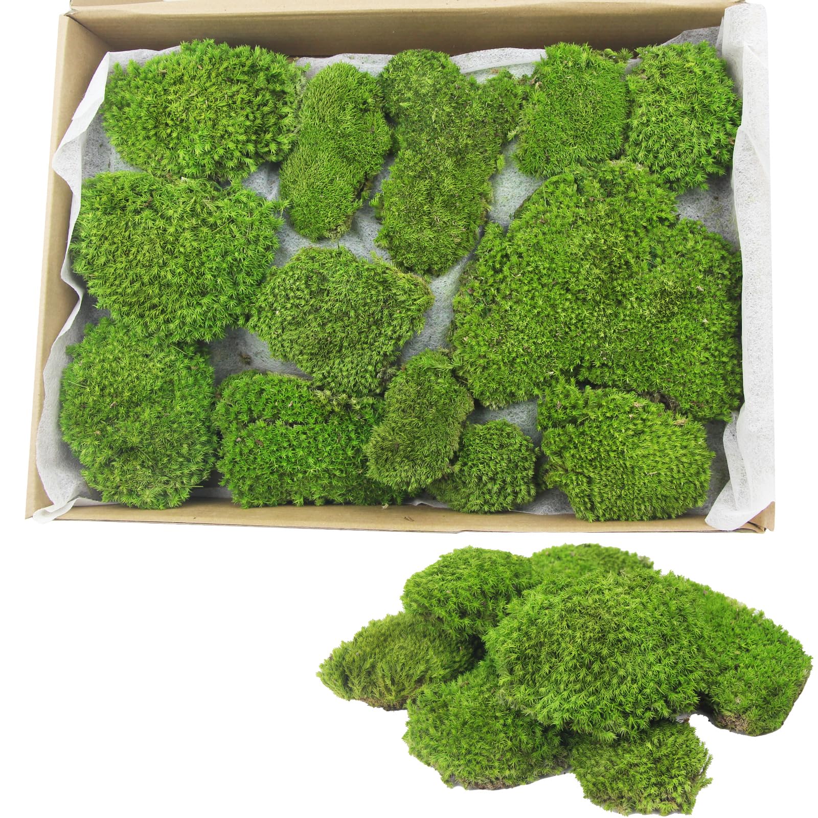 Etokfoks  Green Moss Pillow Shape Preserved Moss 2 5 sq ft Decorative Accessory for Crafts Potted Plants Terrariums