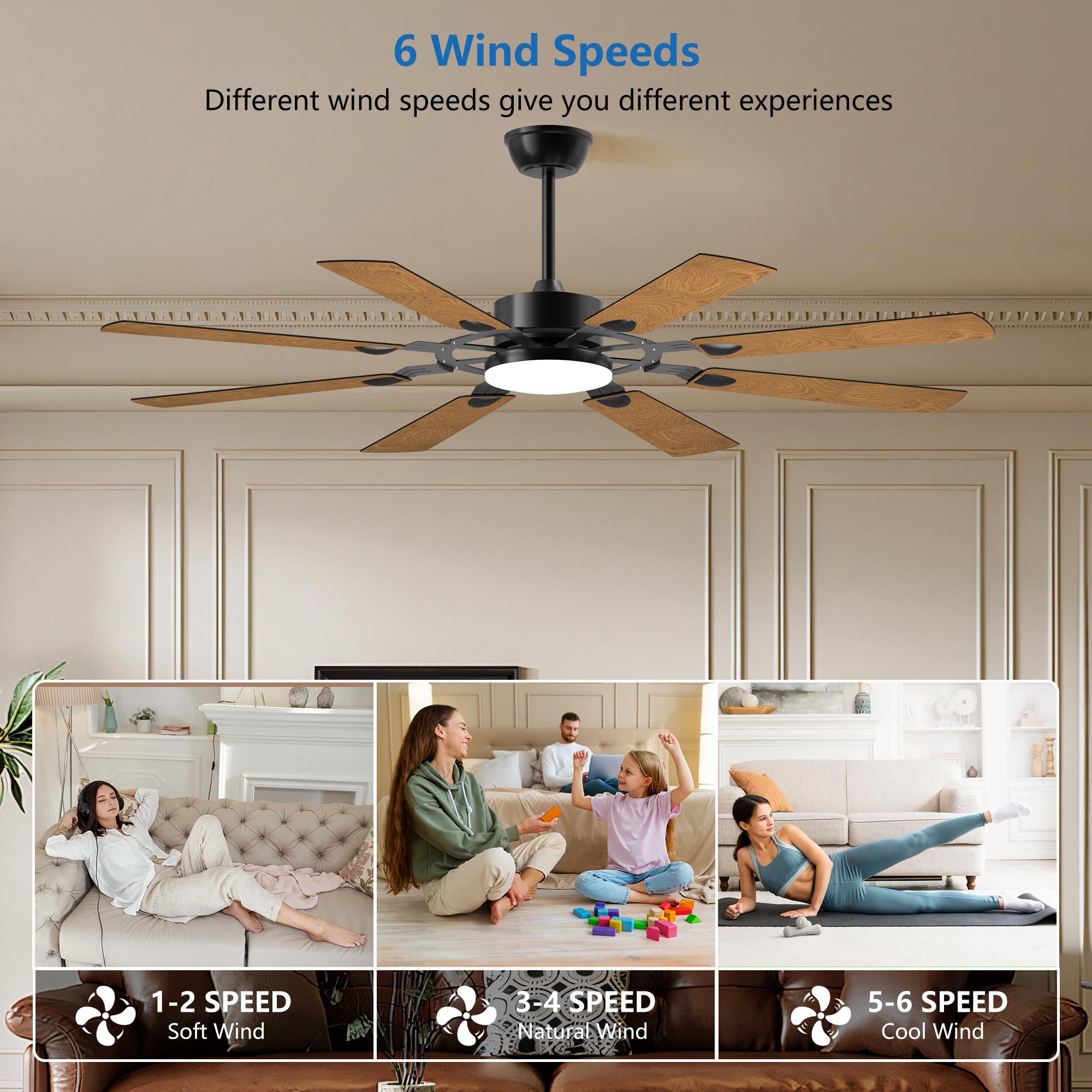 Bayfeve BF-346388-MP Ceiling-Fans - View #4