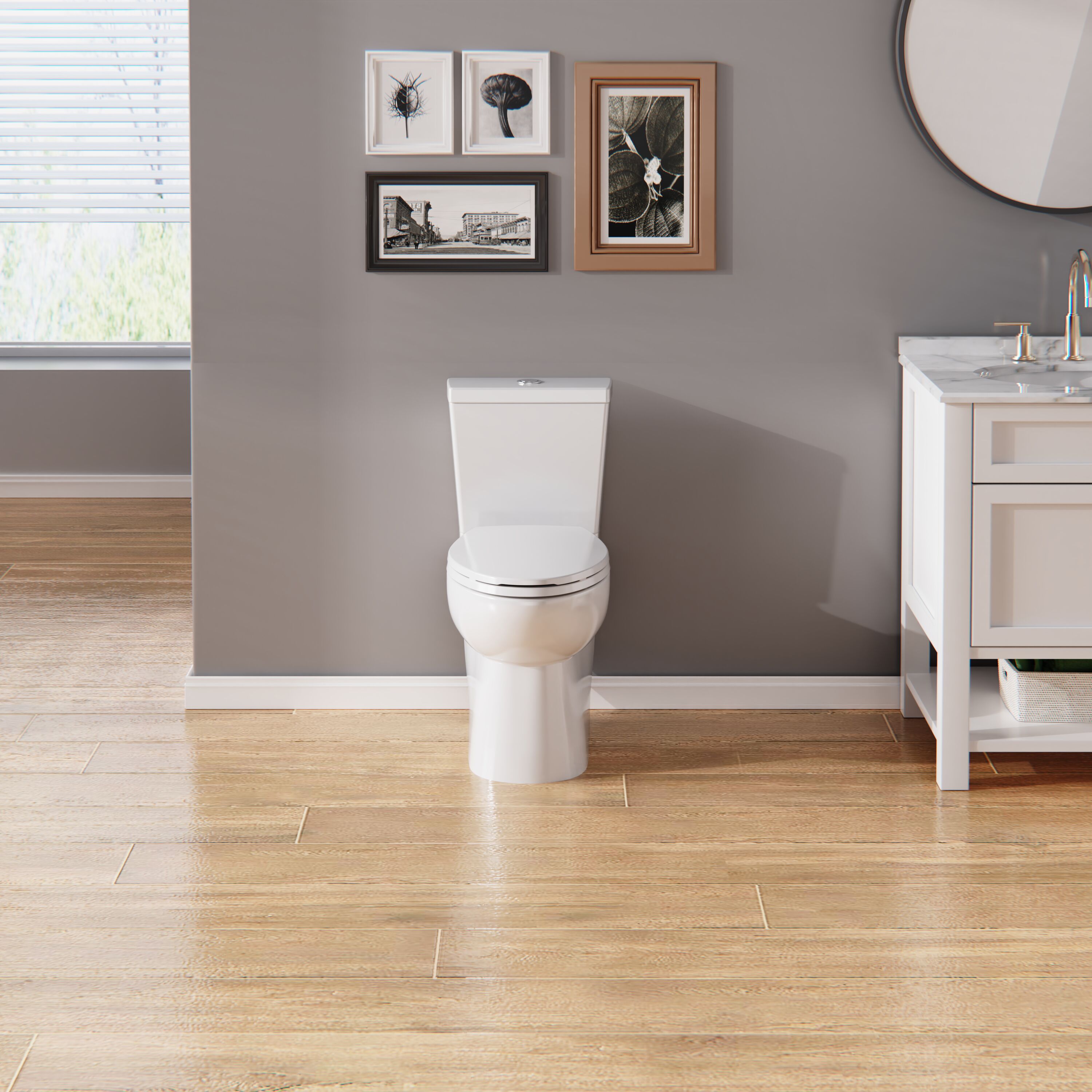 Project Source MT-20211D toilets - View #3