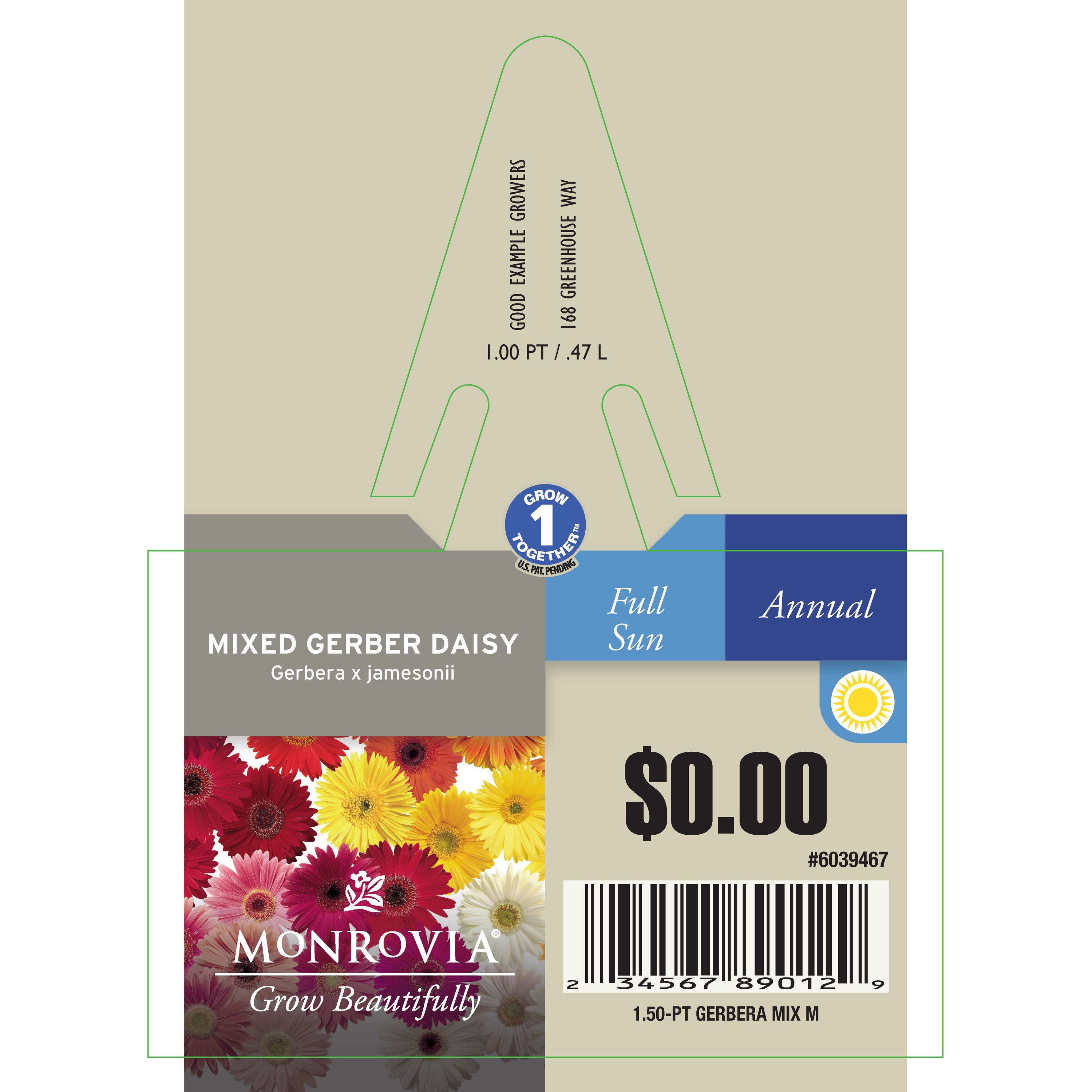  6039467 annuals - View #3