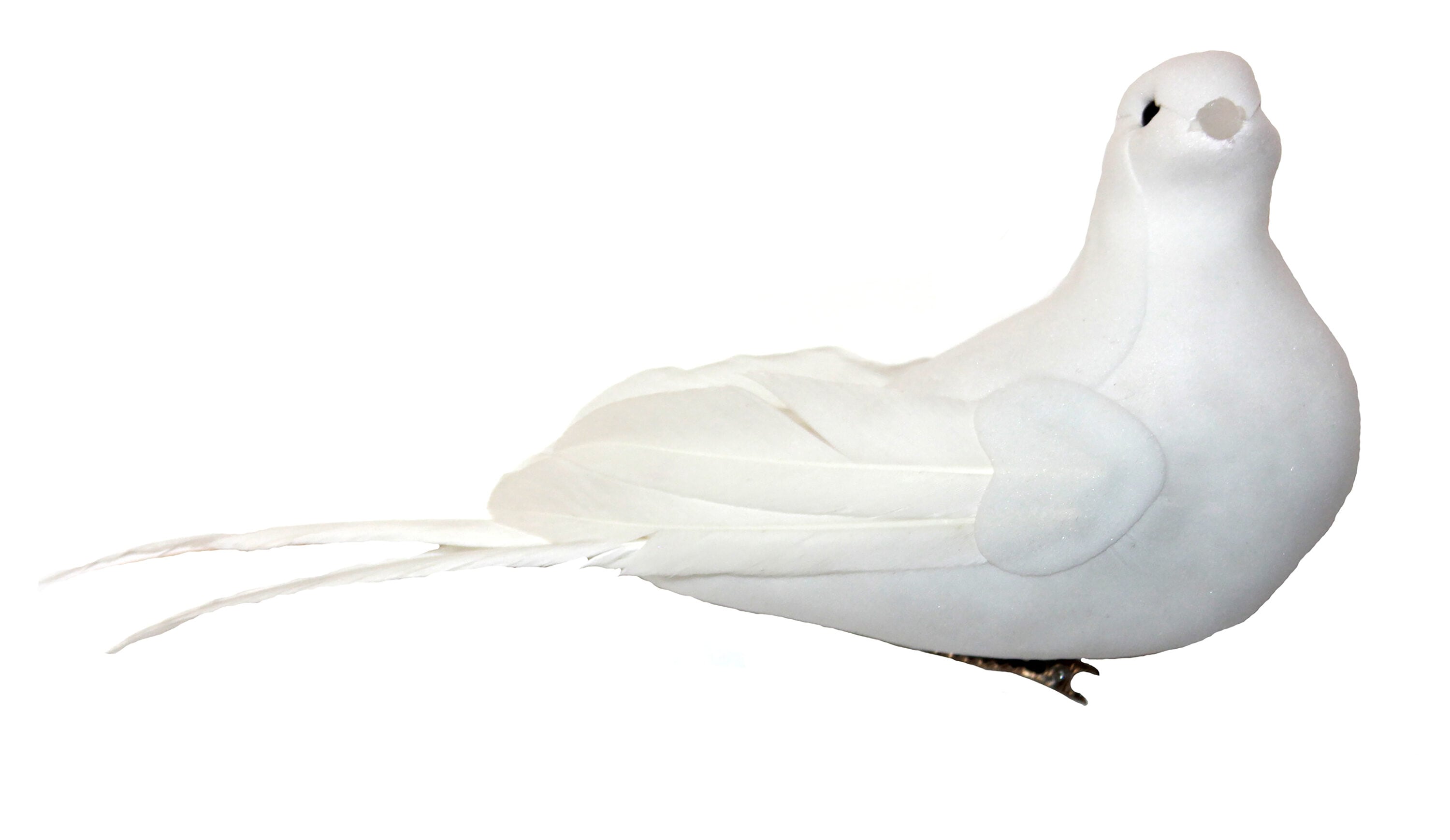 Worth Imports 9237 6 -Pack White Bird Standard Indoor Clip