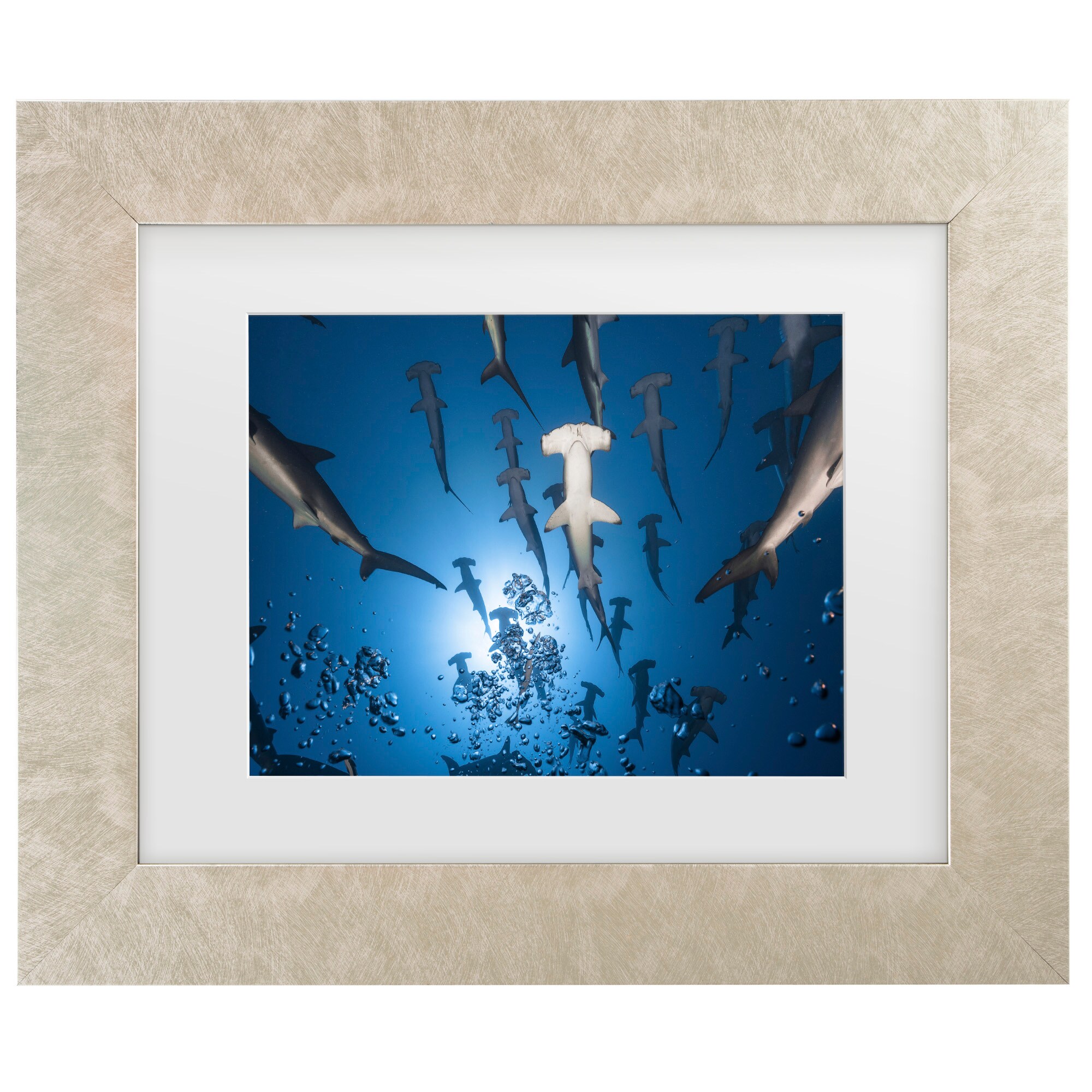 Trademark Fine Art 1X10907-C1620MF Wall-Art - View #2