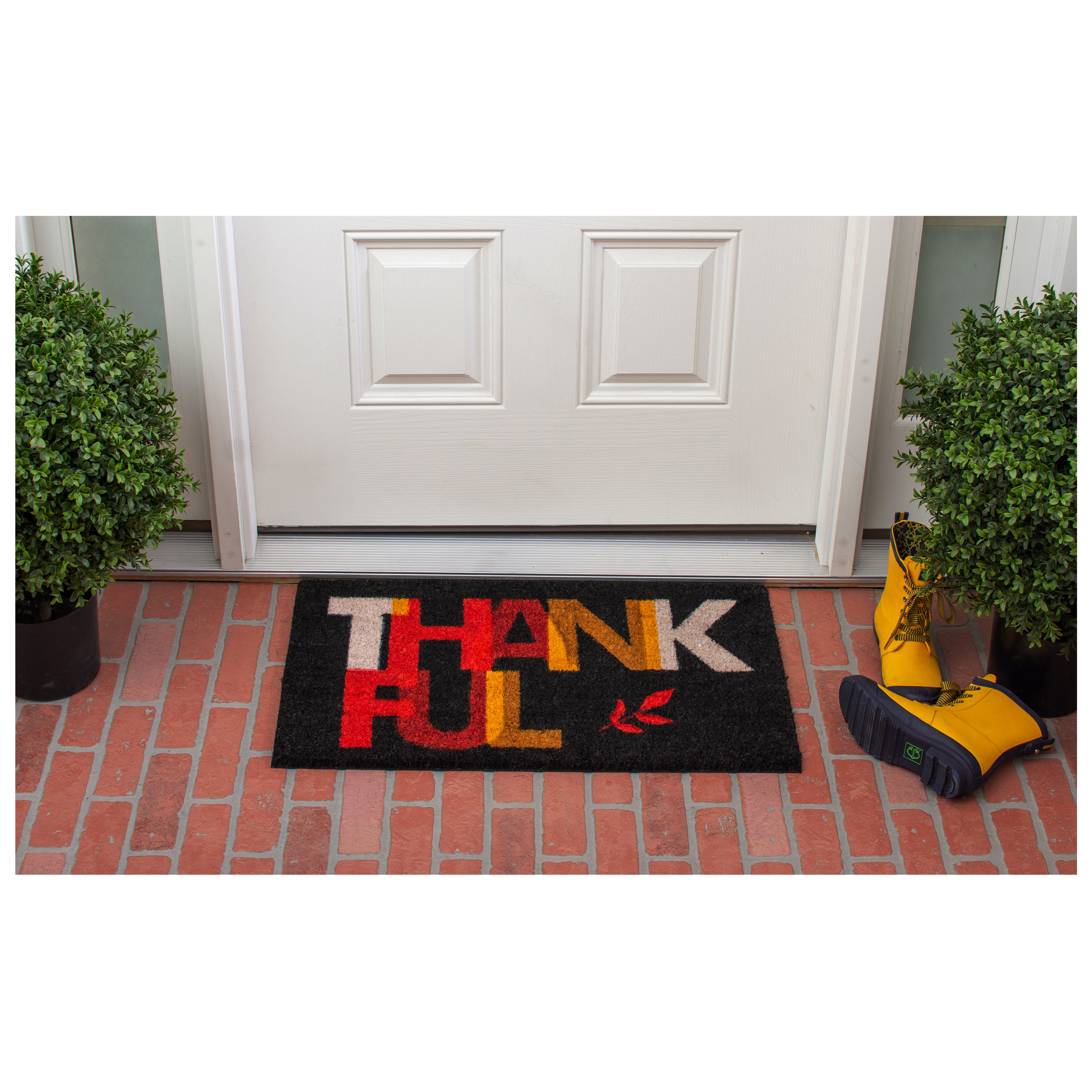 Callowaymills 102371729 Mats-Cat - View #3