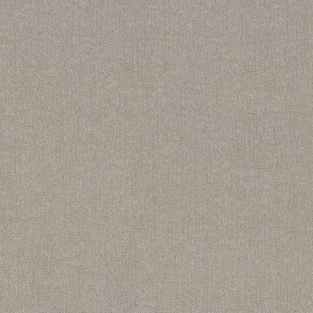 STAINMASTER PetProtect 7L94600115 with LeakDefense Plush Purr Sculpture Brown 34.1-oz sq yard Solution-dyed polyester Pattern Indoor Carpet