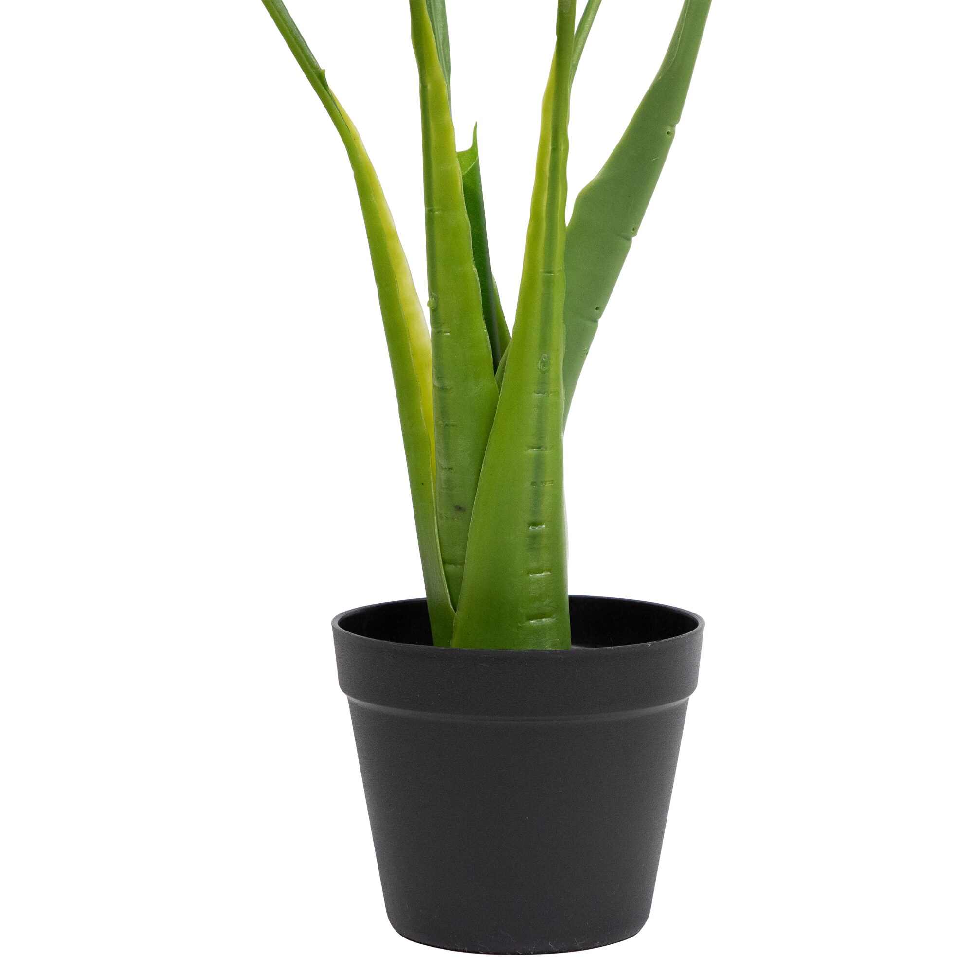Northlight 34808672 Artificial-Plants-Trees - View #4