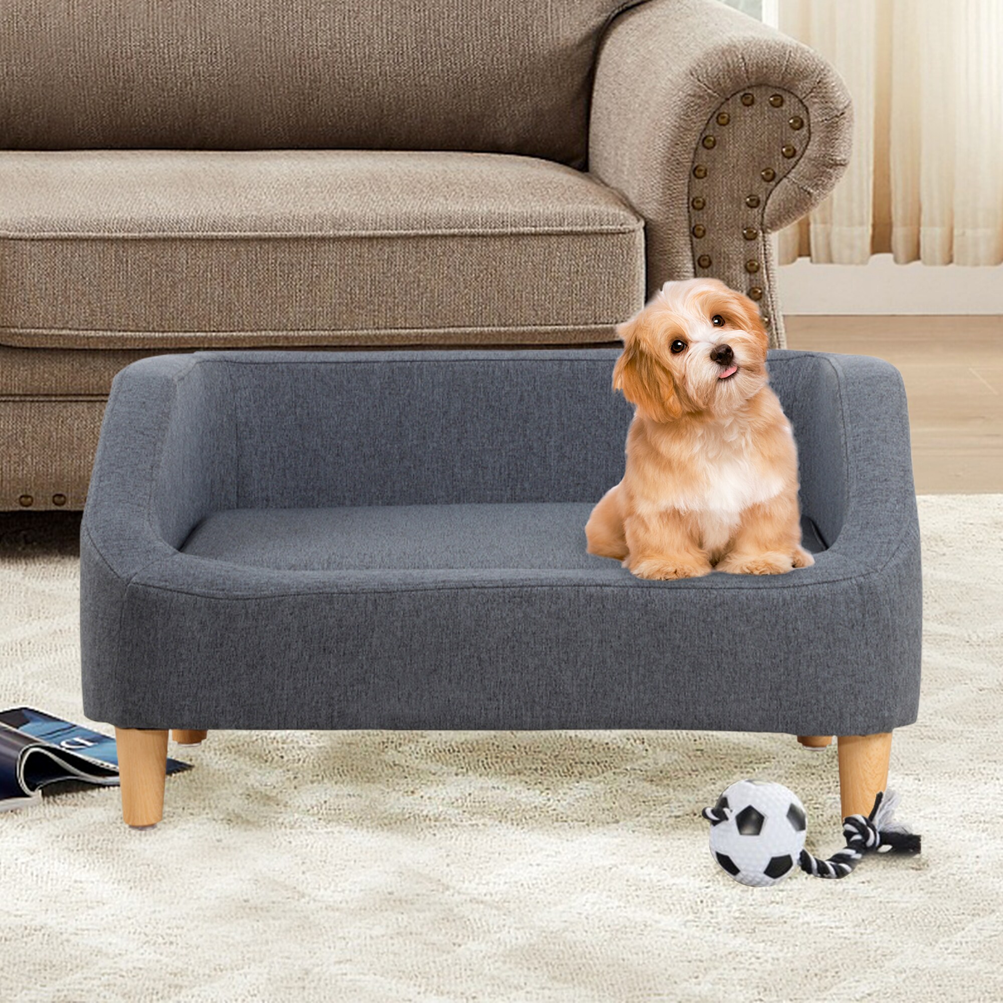 Rooms to sale go dog chair