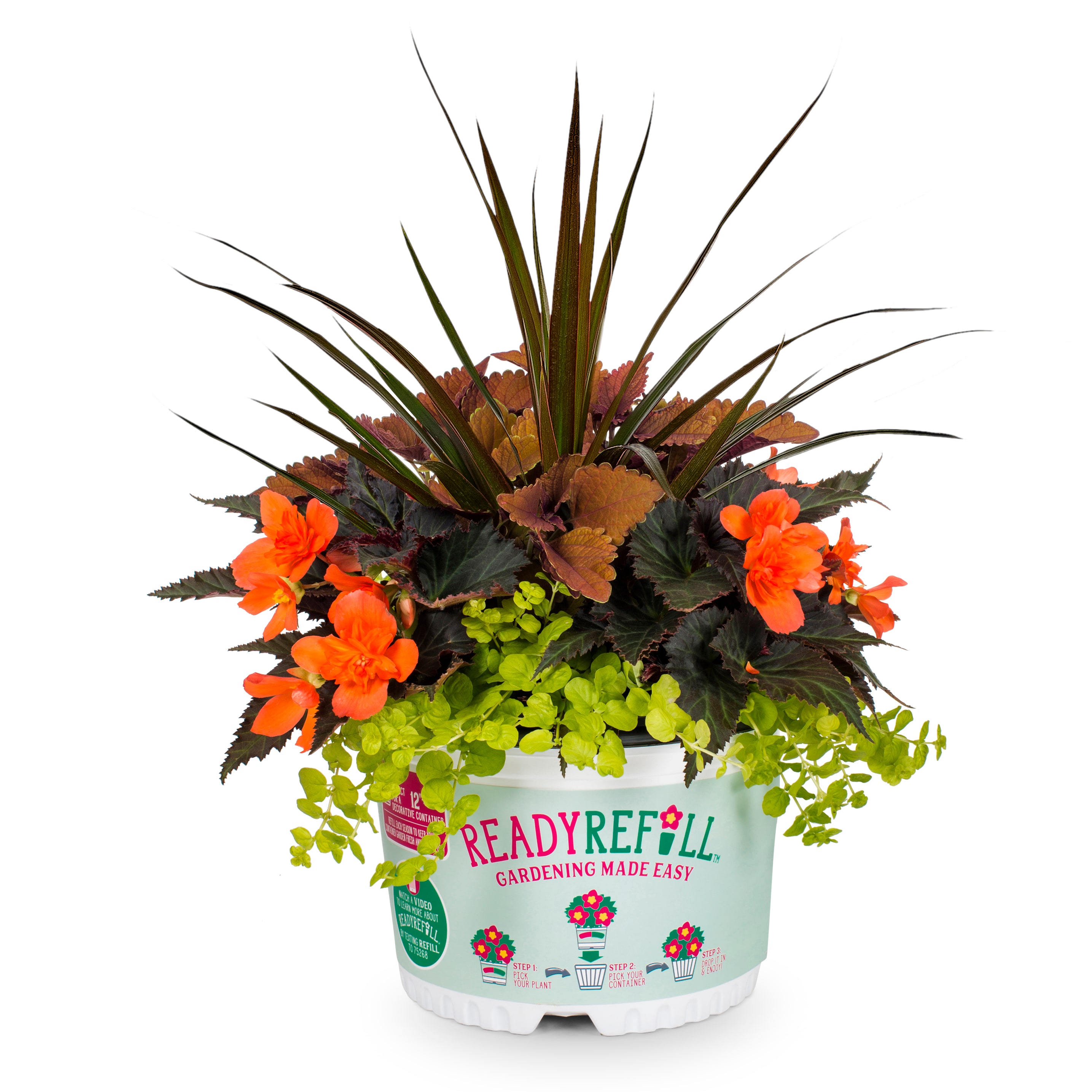 Ready Refill Multicolor Mixed Annuals Combinations In 2.5-gallon Pot In 