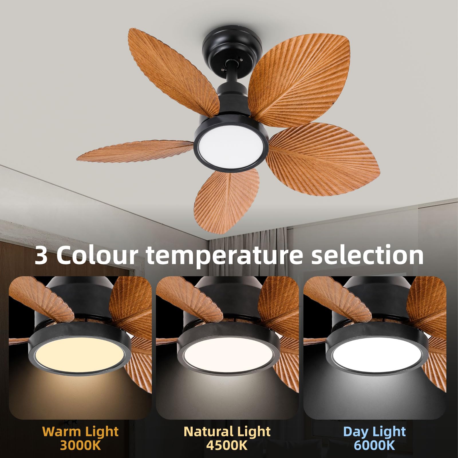 TALOYA TLY-B1-BK-D30 Ceiling-Fans - View #4