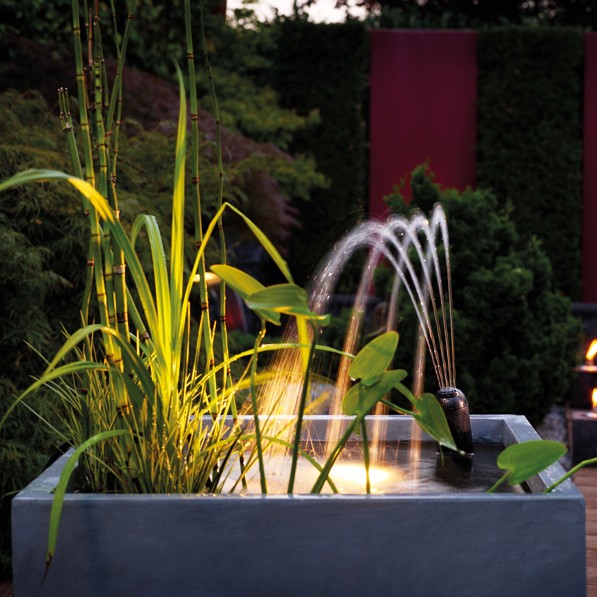 OASE 76006 Pond-Cleaners - View #4