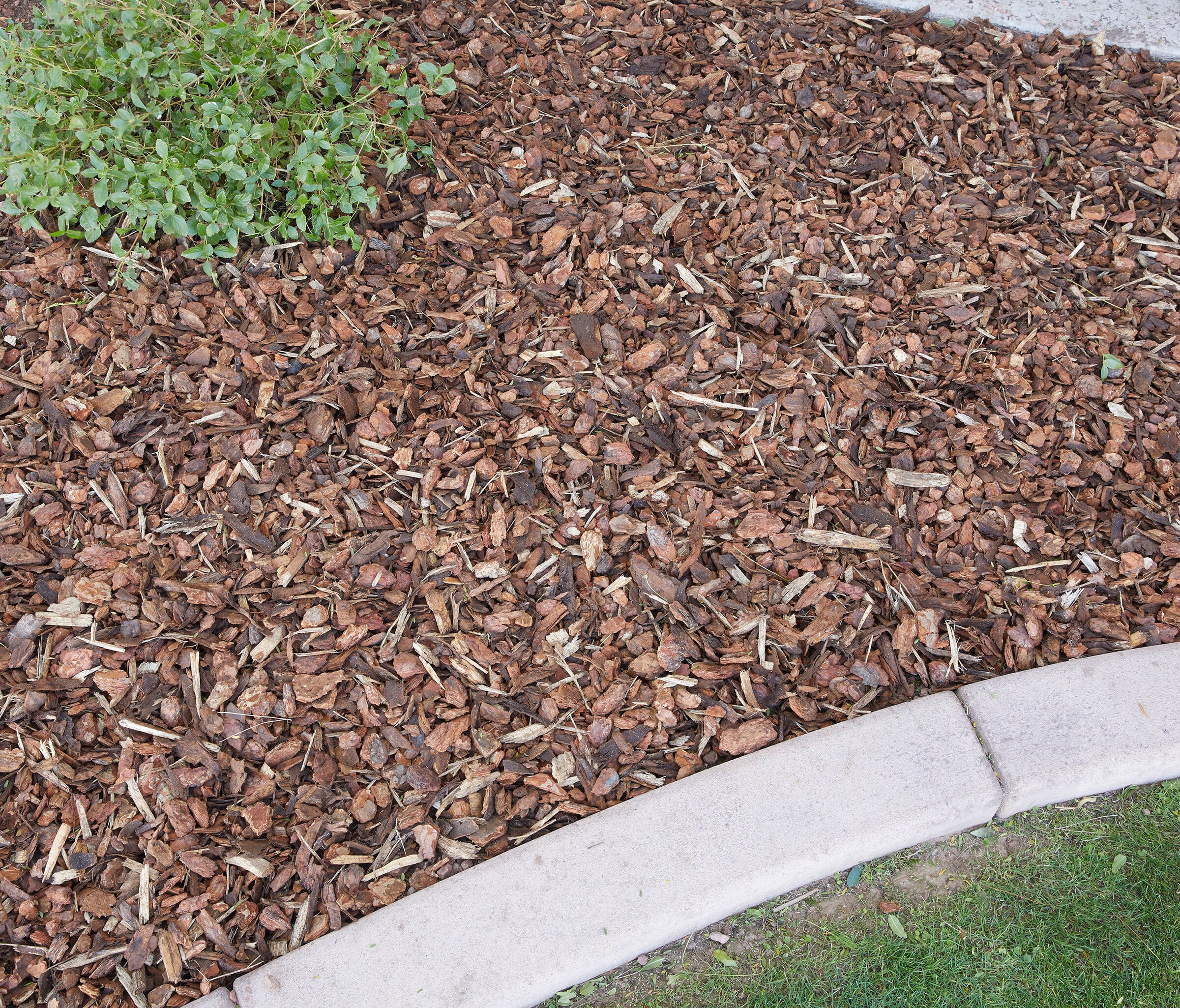 Wallace Farm WFPBN2 Bagged-Mulch - View #3