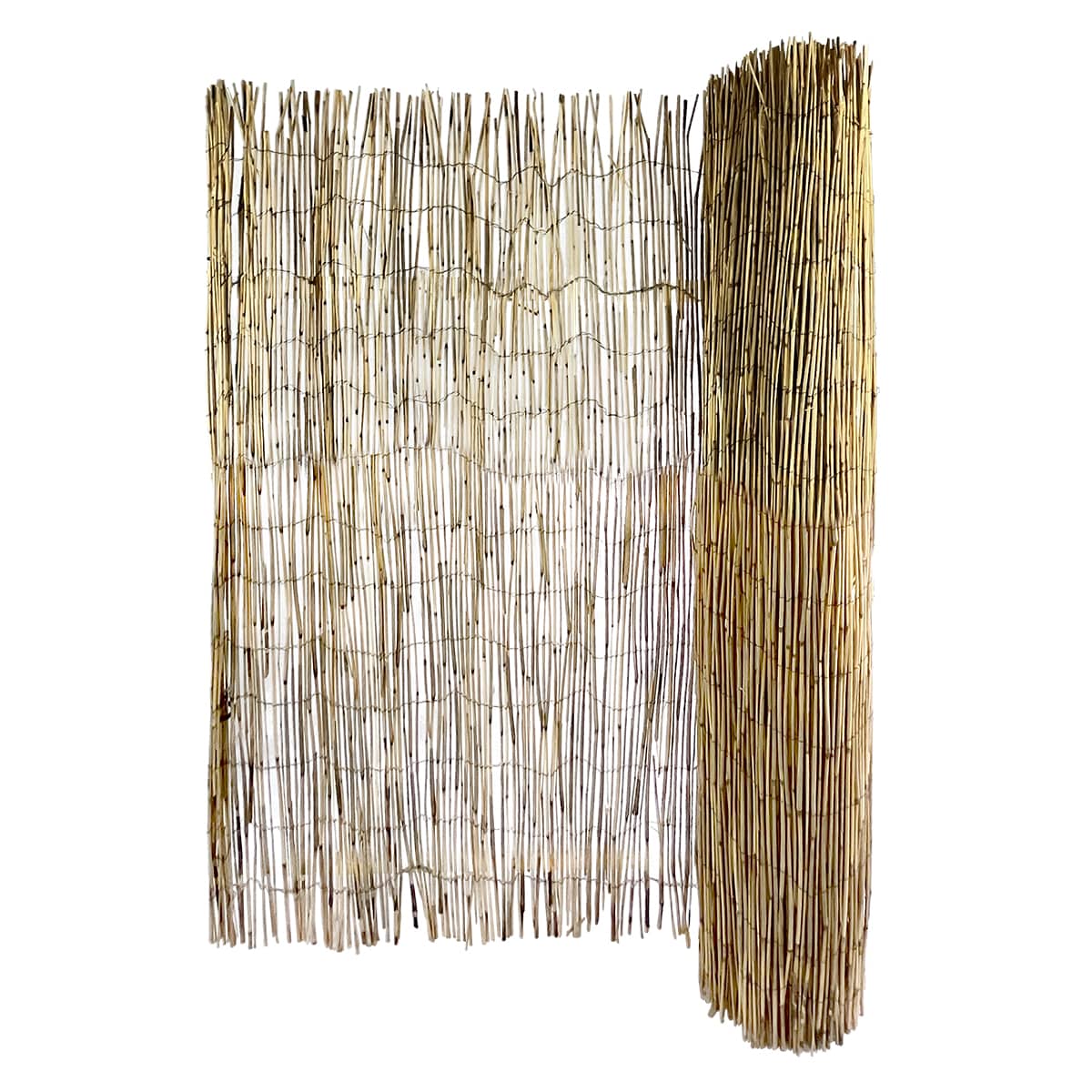GARDEN CRAFT 8 ft x 4 ft Light Brown Bamboo Reed Fencing Rolled Fencing in the Rolled Fencing department at Lowes