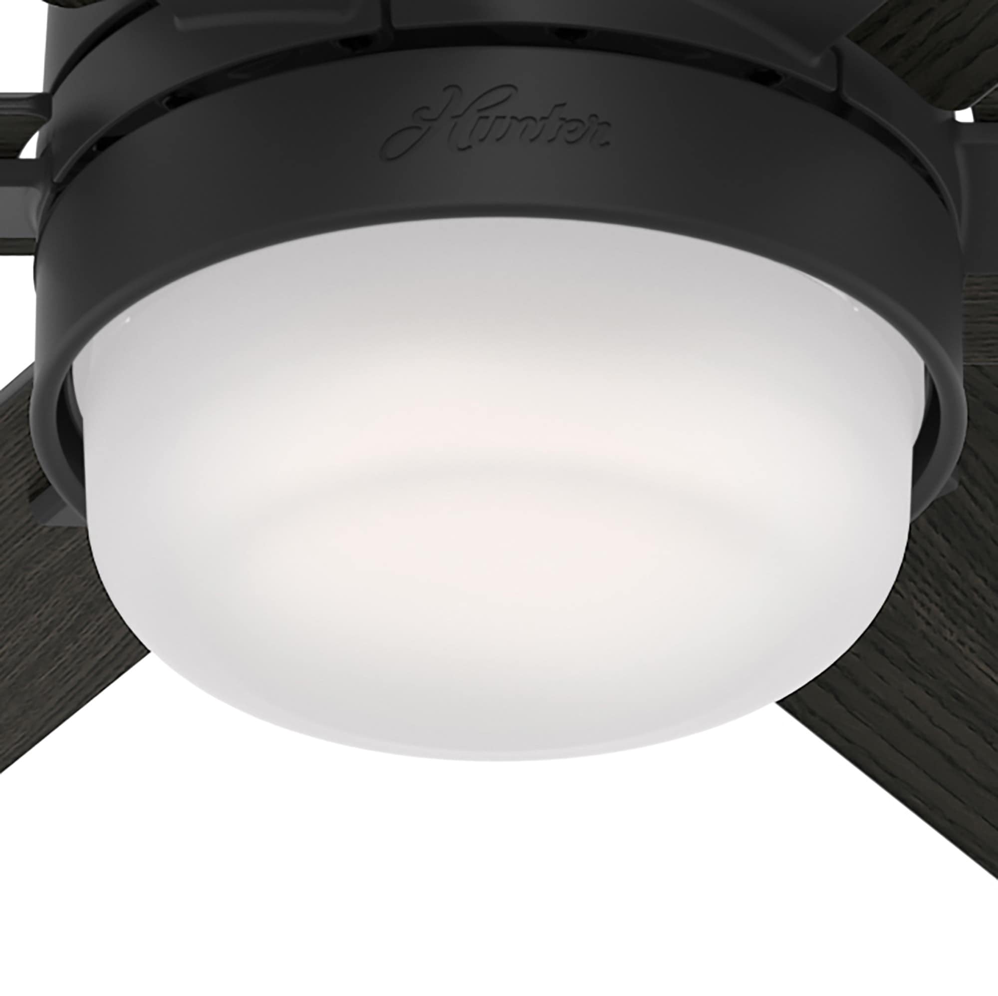 Hunter 51291 Ceiling-Fans - View #12
