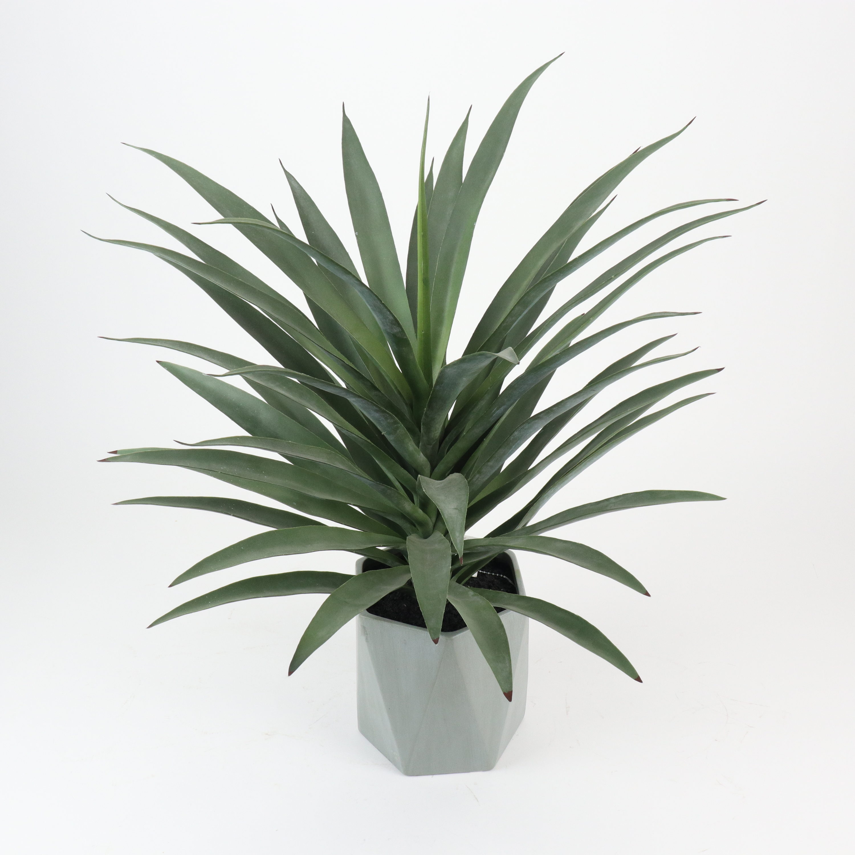 Artificial Air Plant 5in Set of Three Grey Green