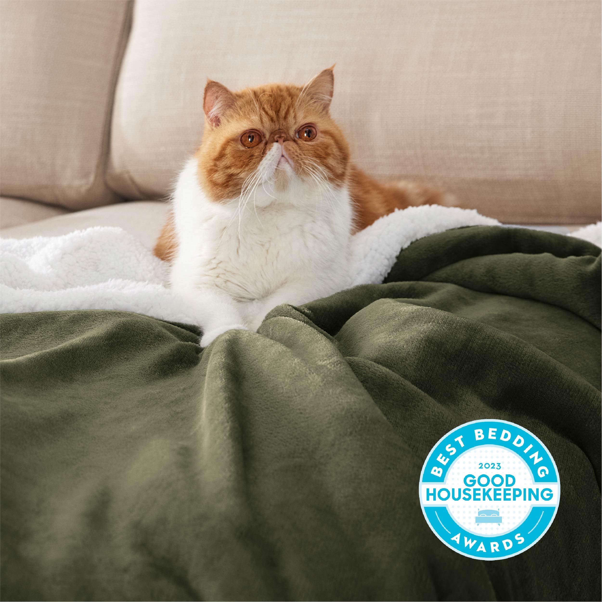 Bedsure Blanket 50x60inch Green Sherpa