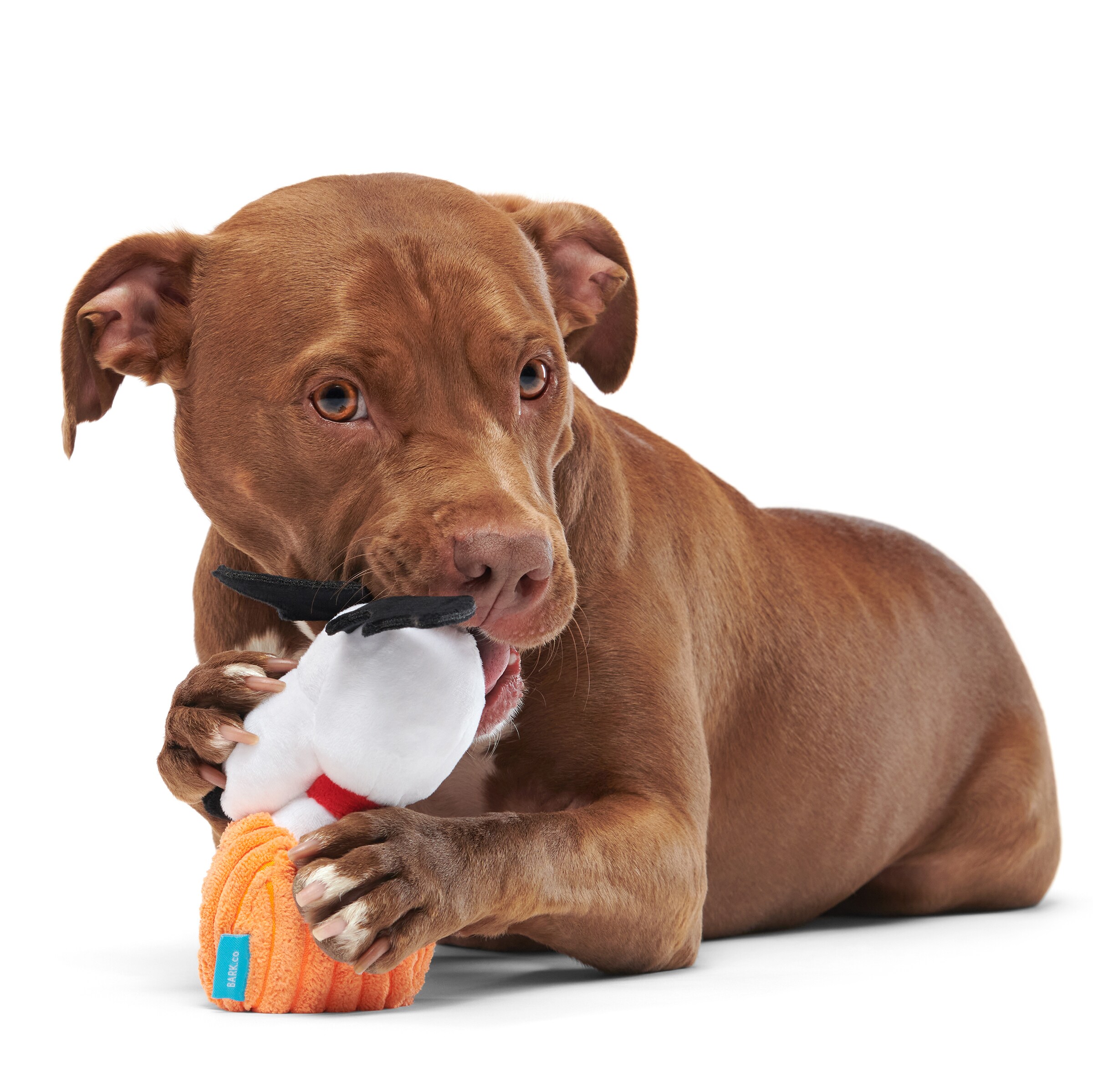 BARK 214621 Dog-Toys - View #3