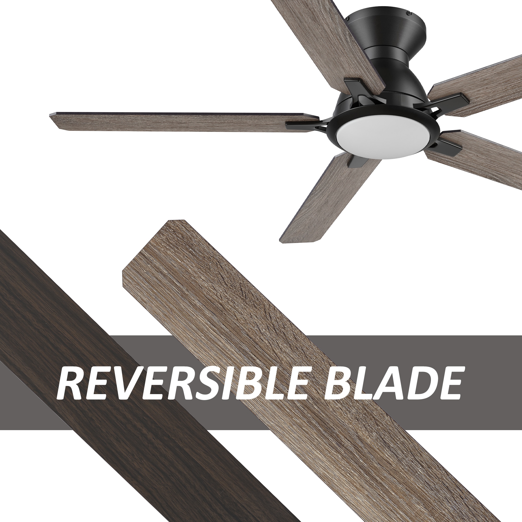 CARRO USA LYDC525J-L11-BG-1-FM Ceiling-Fans - View #4