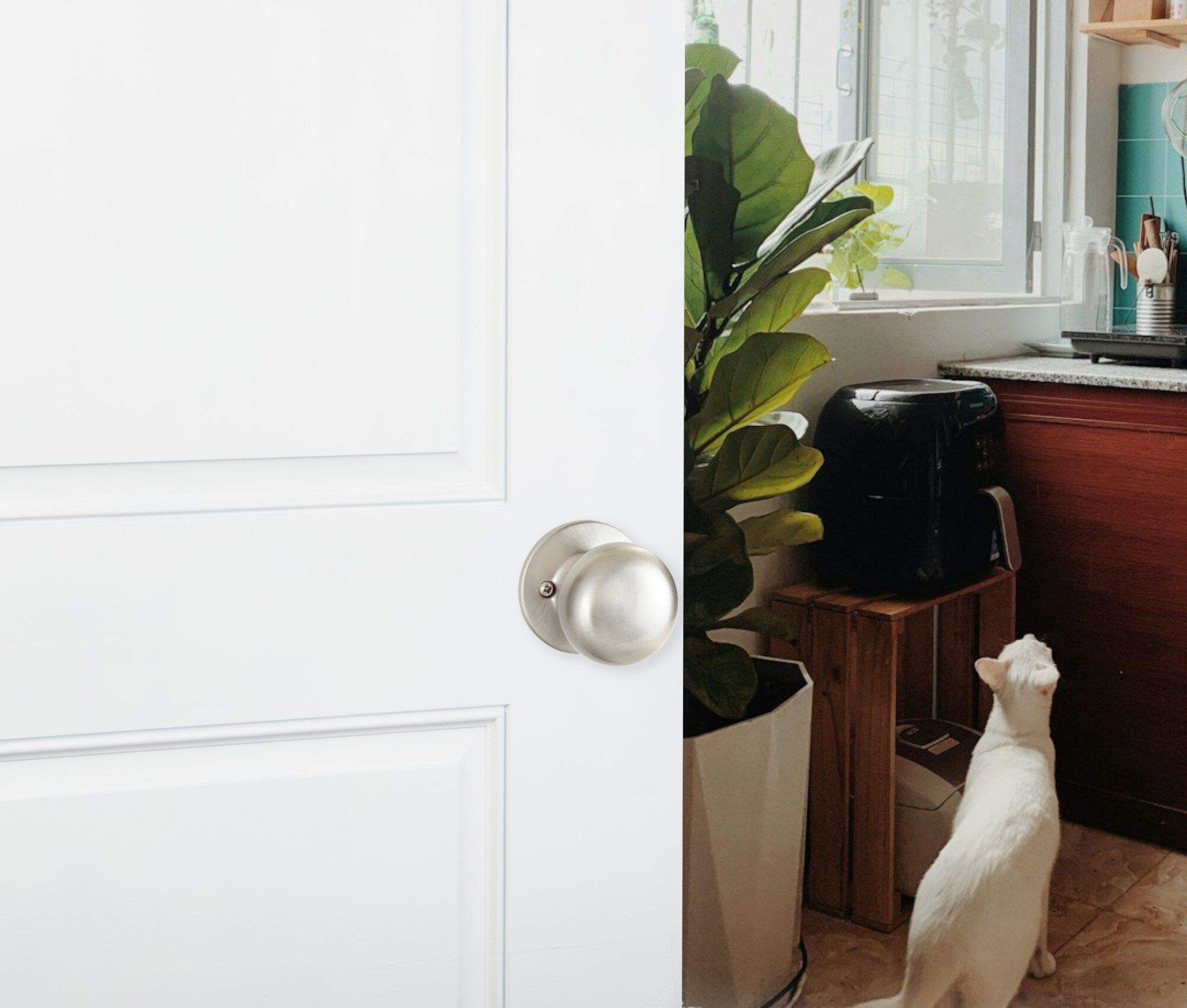 Delaney Hardware KS1011 Door-Knobs - View #6