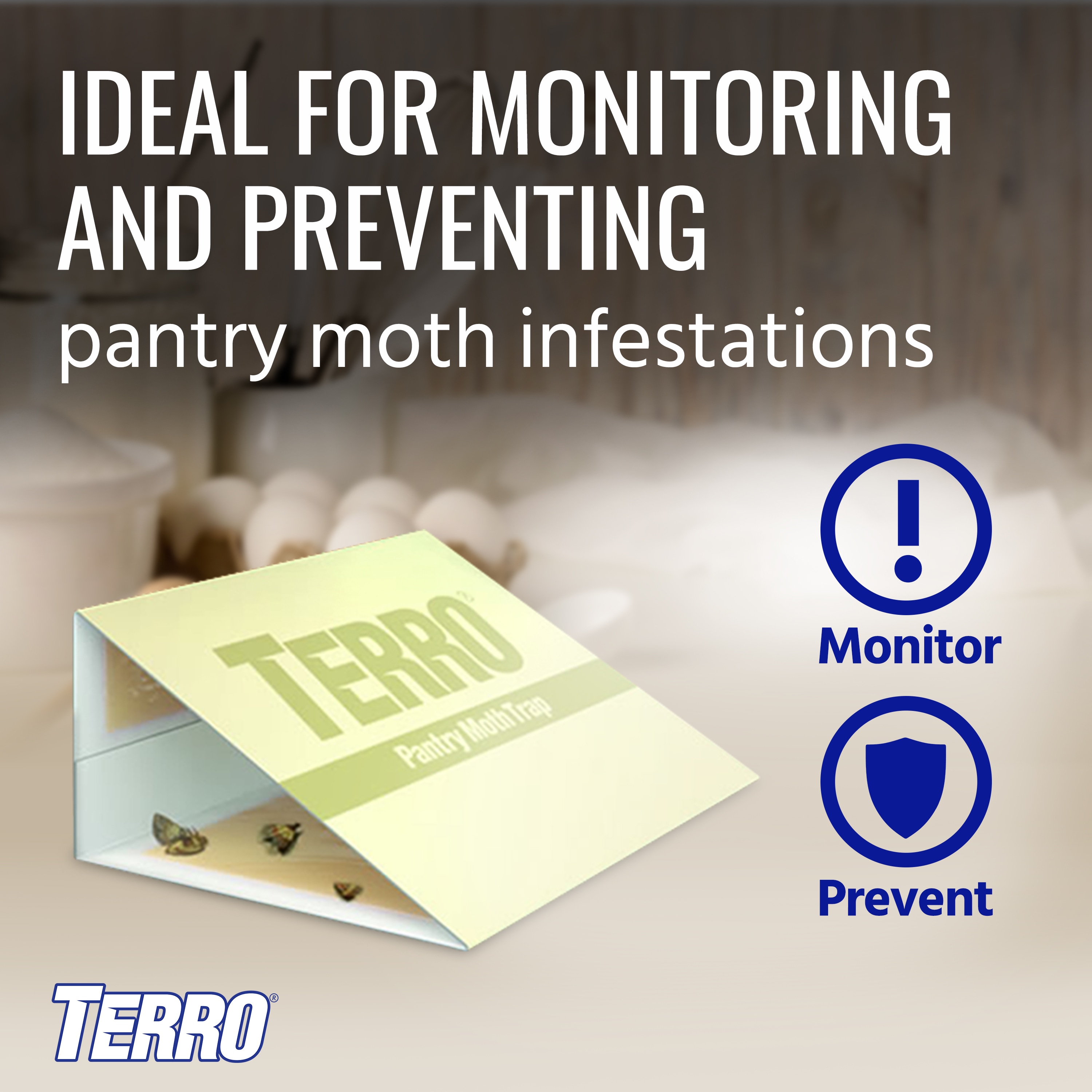 Dr Killigans Advanced Pantry 6 Moth Traps Pheromones Stripe Safe Non-Toxic  Box