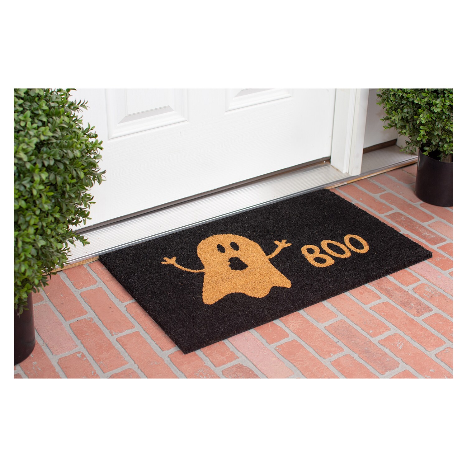 Callowaymills 101822436 Mats-Cat - View #2