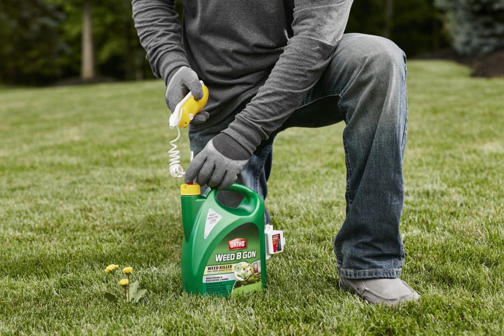 ORTHO Weed B Gon for Lawns 1-Gallon Ready to Use Lawn Weed Killer at ...